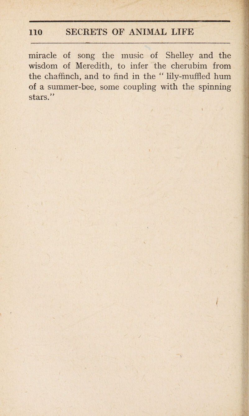 miracle of song the music of Shelley and the wisdom of Meredith, to infer the cherubim from the chaffinch, and to find in the “ lily-muffled hum of a summer-bee, some coupling with the spinning stars.”