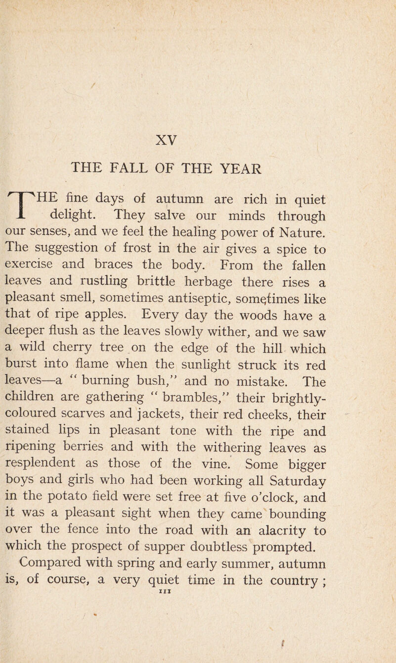 XV THE FALL OF THE YEAR THE fine days of autumn are rich in quiet delight. They salve our minds through our senses, and we feel the healing power of Nature. The suggestion of frost in the air gives a spice to exercise and braces the body. From the fallen leaves and rustling brittle herbage there rises a pleasant smell, sometimes antiseptic, sometimes like that of ripe apples. Every day the woods have a deeper flush as the leaves slowly wither, and we saw a wild cherry tree on the edge of the hill which burst into flame when the sunlight struck its red leaves—a “ burning bush,” and no mistake. The children are gathering “ brambles,” their brightly- coloured scarves and jackets, their red cheeks, their stained lips in pleasant tone with the ripe and ripening berries and with the withering leaves as resplendent as those of the vine. Some bigger boys and girls who had been working all Saturday in the potato field were set free at five o’clock, and it was a pleasant sight when they came bounding over the fence into the road with an alacrity to which the prospect of supper doubtless prompted. Compared with spring and early summer, autumn is, of course, a very quiet time in the country ; hi n li