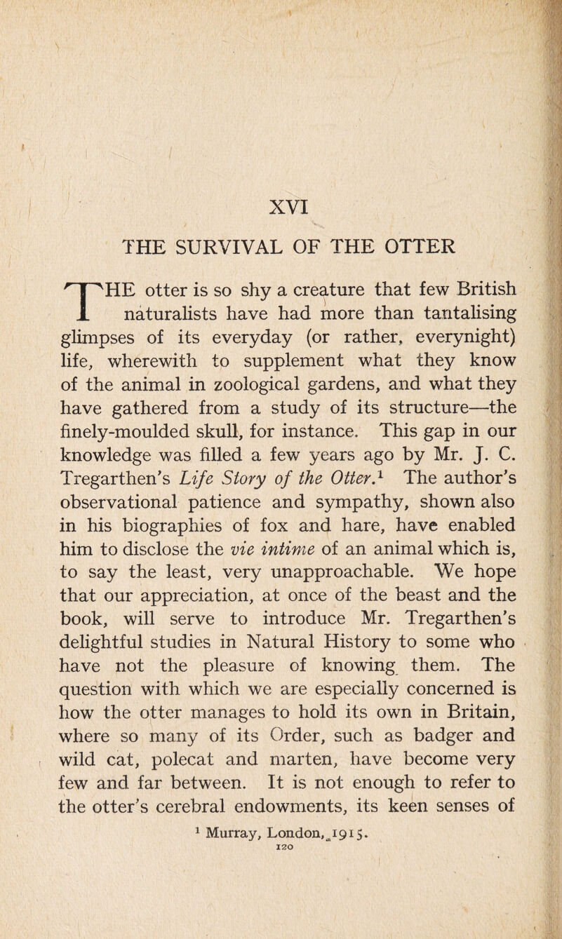 \ I ^ / XVI THE SURVIVAL OF THE OTTER THE otter is so shy a creature that few British naturalists have had more than tantalising glimpses of its everyday (or rather, everynight) life, wherewith to supplement what they know of the animal in zoological gardens, and what they have gathered from a study of its structure—the finely-moulded skull, for instance. This gap in our knowledge was filled a few years ago by Mr. J. C. Tregarthen’s Life Story of the Otter.1 The author’s observational patience and sympathy, shown also in his biographies of fox and hare, have enabled him to disclose the vie intime of an animal which is, to say the least, very unapproachable. We hope that our appreciation, at once of the beast and the book, will serve to introduce Mr. Tregarthen's delightful studies in Natural History to some who have not the pleasure of knowing them. The question with which we are especially concerned is how the otter manages to hold its own in Britain, where so many of its Order, such as badger and t wild cat, polecat and marten, have become very few and far between. It is not enough to refer to the otter’s cerebral endowments, its keen senses of 1 Murray, London, ^1915.
