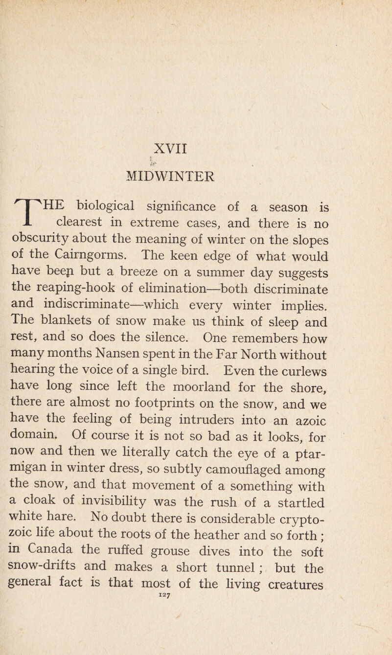 XVII MIDWINTER I^HE biological significance of a season is clearest in extreme cases, and there is no obscurity about the meaning of winter on the slopes of the Cairngorms. The keen edge of what would have beep but a breeze on a summer day suggests the reaping-hook of elimination—both discriminate and indiscriminate—which every winter implies. The blankets of snow make us think of sleep and rest, and so does the silence. One remembers how many months Nansen spent in the Far North without hearing the voice of a single bird. Even the curlews have long since left the moorland for the shore, there are almost no footprints on the snow, and we have the feeling of being intruders into an azoic domain. Of course it is not so bad as it looks, for now and then we literally catch the eye of a ptar- migan in winter dress, so subtly camouflaged among the snow, and that movement of a something with a cloak of invisibility was the rush of a startled white hare. No doubt there is considerable crypto- zoic life about the roots of the heather and so forth; in Canada the ruffed grouse dives into the soft snow-drifts and makes a short tunnel; but the general fact is that most of the living creatures
