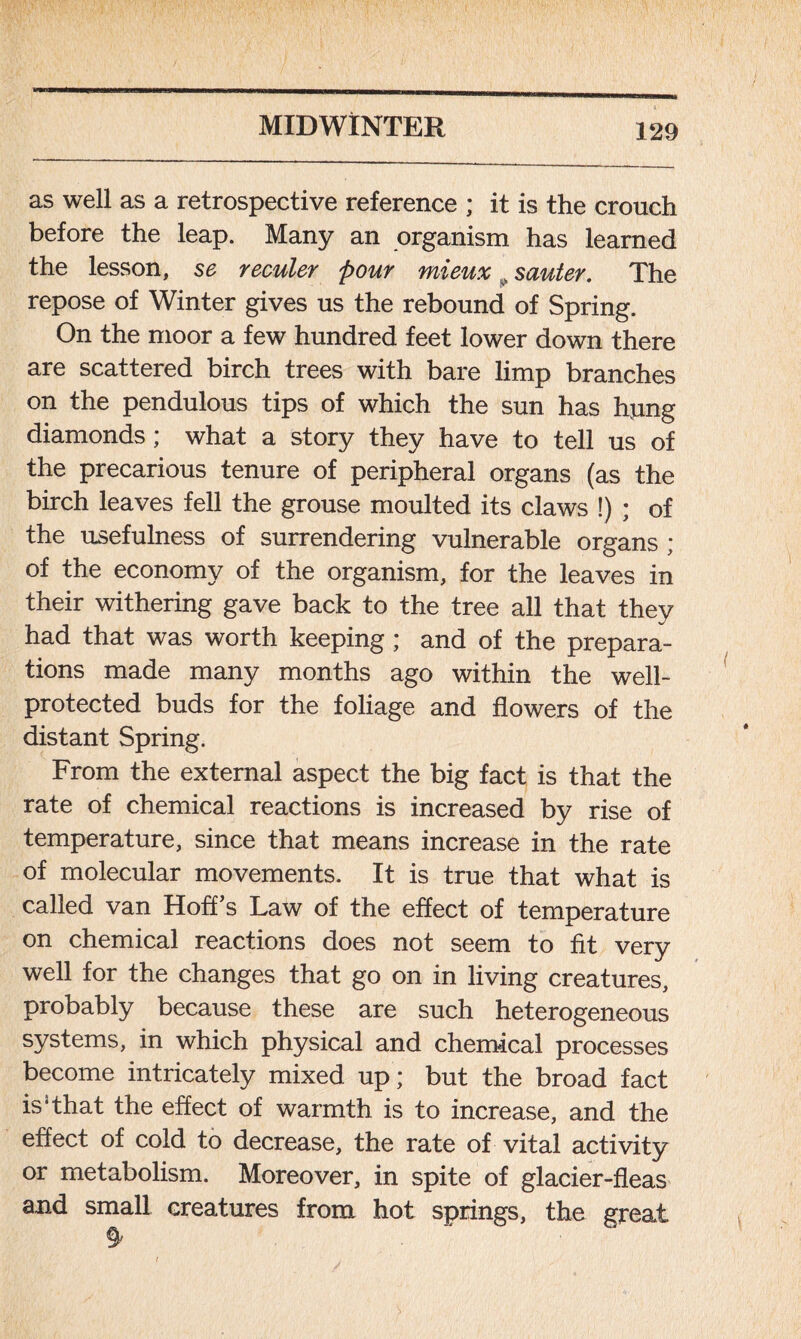 MIDWINTER as well as a retrospective reference ; it is the crouch before the leap. Many an organism has learned the lesson, se reculer pour mieuxsauter. The repose of Winter gives us the rebound of Spring. On the moor a few hundred feet lower down there are scattered birch trees with bare limp branches on the pendulous tips of which the sun has hjmg diamonds; what a story they have to tell us of the precarious tenure of peripheral organs (as the birch leaves fell the grouse moulted its claws !) ; of the usefulness of surrendering vulnerable organs ; of the economy of the organism, for the leaves in their withering gave back to the tree all that they had that was worth keeping; and of the prepara- tions made many months ago within the well- protected buds for the foliage and flowers of the distant Spring. From the external aspect the big fact is that the rate of chemical reactions is increased by rise of temperature, since that means increase in the rate of molecular movements. It is true that what is called van Hoff’s Law of the effect of temperature on chemical reactions does not seem to fit very well for the changes that go on in living creatures, probably because these are such heterogeneous systems, in which physical and chemical processes become intricately mixed up; but the broad fact is‘that the effect of warmth is to increase, and the effect of cold to decrease, the rate of vital activity or metabolism. Moreover, in spite of glacier-fleas and small creatures from hot springs, the great §