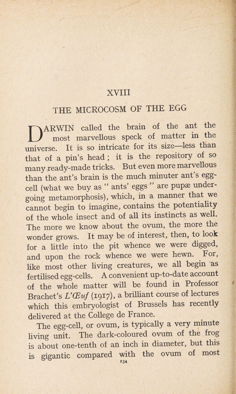 XVIII THE MICROCOSM OF THE EGG DARWIN called the brain of the ant the most marvellous speck of matter in the universe. It is so intricate for its size—less than that of a pin’s head ; it is the repository of so many ready-made tricks. But even more marvellous than the ant’s brain is the much minuter ant s egg- cell (what we buy as “ ants’ eggs ” are pupae under- going metamorphosis), which, in a manner that we cannot begin to imagine, contains the potentiality of the whole insect and of all its instincts as well. The more we know about the ovum, the more the wonder grows. It may be of interest, then, to look for a little into the pit whence we were digged, and upon the< rock whence we were hewn. For, like most other living creatures, we all begin as fertilised egg-cells. A convenient up-to-date account of the whole matter will be found in Professor Brachet’s L’CEuf (1917), a brilliant course of lectures which this embryologist of Brussels has recently delivered at the College de France. The egg-cell, or ovum, is typically a very minute living unit. The dark-coloured ovum of the frog is about one-tenth of an inch in diameter, but this is gigantic compared with the ovum of most