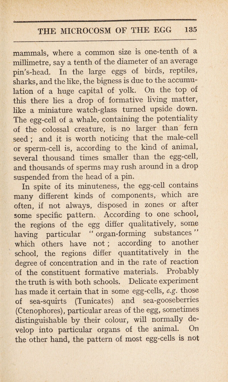 mammals, where a common size is one-tenth of a millimetre, say a tenth of the diameter of an average pinVhead. In the large eggs of birds, reptiles, sharks, and the like, the bigness is due to the accumu- lation of a huge capital of yolk. On the top of this there lies a drop of formative living matter, like a miniature watch-glass turned upside down. The egg-cell of a whale, containing the potentiality of the colossal creature, is no larger than fern seed ; and it is worth noticing that the male-cell or sperm-cell is, according to the kind of animal, several thousand times smaller than the egg-cell, and thousands of sperms may rush around in a drop suspended from the head of a pin. In spite of its minuteness, the egg-cell contains many different kinds of components, which are often, if not always, disposed in zones or after some specific pattern. According to one school, the regions of the egg differ qualitatively, some having particular “ organ-forming substances ’ which others have not; according to another school, the regions differ quantitatively in the degree of concentration and in the rate of reaction of the constituent formative materials. Probably the truth is with both schools. Delicate experiment has made it certain that in some egg-cells, e.g. those of sea-squirts (Tunicates) and sea-gooseberries (Ctenophores), particular areas of the egg, sometimes distinguishable by their colour, will normally de- velop into particular organs of the animal. On the other hand, the pattern of most egg-cells is not