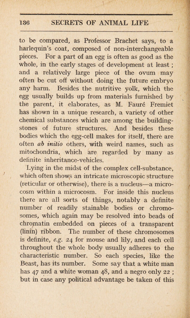 ft SECRETS OF ANIMAL LIFE 136 to be compared, as Professor Brachet says, to a harlequin’s coat, composed of non-interchangeable pieces. For a part of an egg is often as good as the whole, in the early stages of development at least; and a relatively large piece of the ovum may often be cut off without doing the future embryo any harm. Besides the nutritive yolk, which the egg usually builds up from materials furnished by the parent, it elaborates, as M. Faure Fremiet has shown in a unique research, a variety of other chemical substances which are among the building- stones of future structures. And besides these bodies which the egg-cell makes for itself, there are often ab initio others, with weird names, such as mitochondria, which are regarded by many as definite inheritance-vehicles. Lying in the midst of the complex cell-substance, which often shows an intricate microscopic structure (reticular or otherwise), there is a nucleus—a micro- cosm within a microcosm. For inside this nucleus there are all sorts of things, notably a definite number of readily stainable bodies or chromo- somes, which again may be resolved into beads of chropiatin embedded on pieces of a transparent (linin) ribbon. The number of these chromosomes is definite, e.g. 24 for mouse and lily, and each cell throughout the whole body usually adheres to the characteristic number. So each species, like the Beast, has its number. Some say that a white man has 47 and a white woman 48, and a negro only 22 ; but in case any political advantage be taken of this