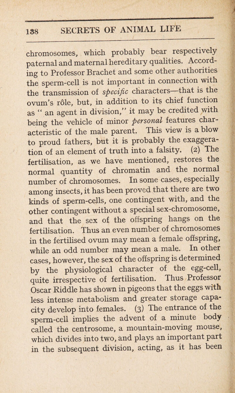 chromosomes, which probably bear respectively paternal and maternal hereditary qualities. Accord- ing to Professor Brachet and some other authorities the sperm-cell is not important in connection with the transmission of specific characters that is the ovum's role, but, in addition to its chief function as “an agent in division, it may be credited with being the vehicle of minor personal features char- acteristic of the male parent. This view is a blow to proud fathers, but it is probably the exaggera- tion of an element of truth into a falsity. (2) The fertilisation, as we have mentioned, restores the normal quantity of chromatin and the normal number of chromosomes. In some cases, especially among insects, it has been proved that there are two kinds of sperm-cells, one contingent with, and the other contingent without a special sex-chromosome, and that the sex of the offspring hangs on the fertilisation. Thus an even number of chromosomes in the fertilised ovum may mean a female offspring, while an odd number may mean a male. In other cases, however, the sex of the offspring is determined by the physiological character of the egg-cell, quite irrespective of fertilisation. Thus Professor Oscar Riddle has shown in pigeons that the eggs with less intense metabolism and greater storage capa- city develop into females. (3) The entrance of the sperm-cell implies the advent of a minute body called the centrosome, a mountain-moving mouse, which divides into two, and plays an important part in the subsequent division, acting, as it has been