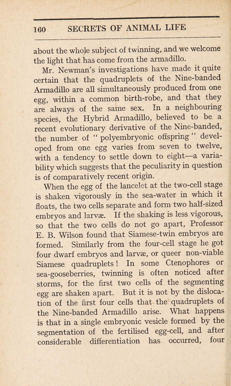 about the whole subject of twinning, and we welcome the light that has come from the armadillo. Mr. Newman’s investigations have made it quite certain that the quadruplets of the Nine-banded Armadillo are all simultaneously produced from one egg, within a common birth-robe, and that they are always of the same sex. In a neighbouring species, the Hybrid Armadillo, believed to be a recent evolutionary derivative of the Nine-banded, the number of “ polyembryonic offspring devel- oped from one egg varies from seven to twelve, with a tendency to settle down to eight—a varia- bility which suggests that the peculiarity in question is of comparatively recent origin. When the egg of the lancelet at the two-cell stage is shaken vigorously in the sea-water in which it floats, the two cells separate and form two half-sized embryos and larvae. If the shaking is less vigorous, so that the two cells do not go apart, Professor E. B. Wilson found that Siamese-twin embryos are formed. Similarly from the four-cell stage he got four dwarf embryos and larvae, or queer non-viable Siamese quadruplets! In some Ctenophores or sea-gooseberries, twinning is often noticed after storms, for the first two cells of the segmenting egg are shaken apart. But it is not by the disloca- tion of the first four cells that the quadruplets of the Nine-banded Armadillo arise. What happens is that in a single embryonic vesicle formed by the segmentation of the fertilised egg-cell, and after considerable differentiation has occurred, four