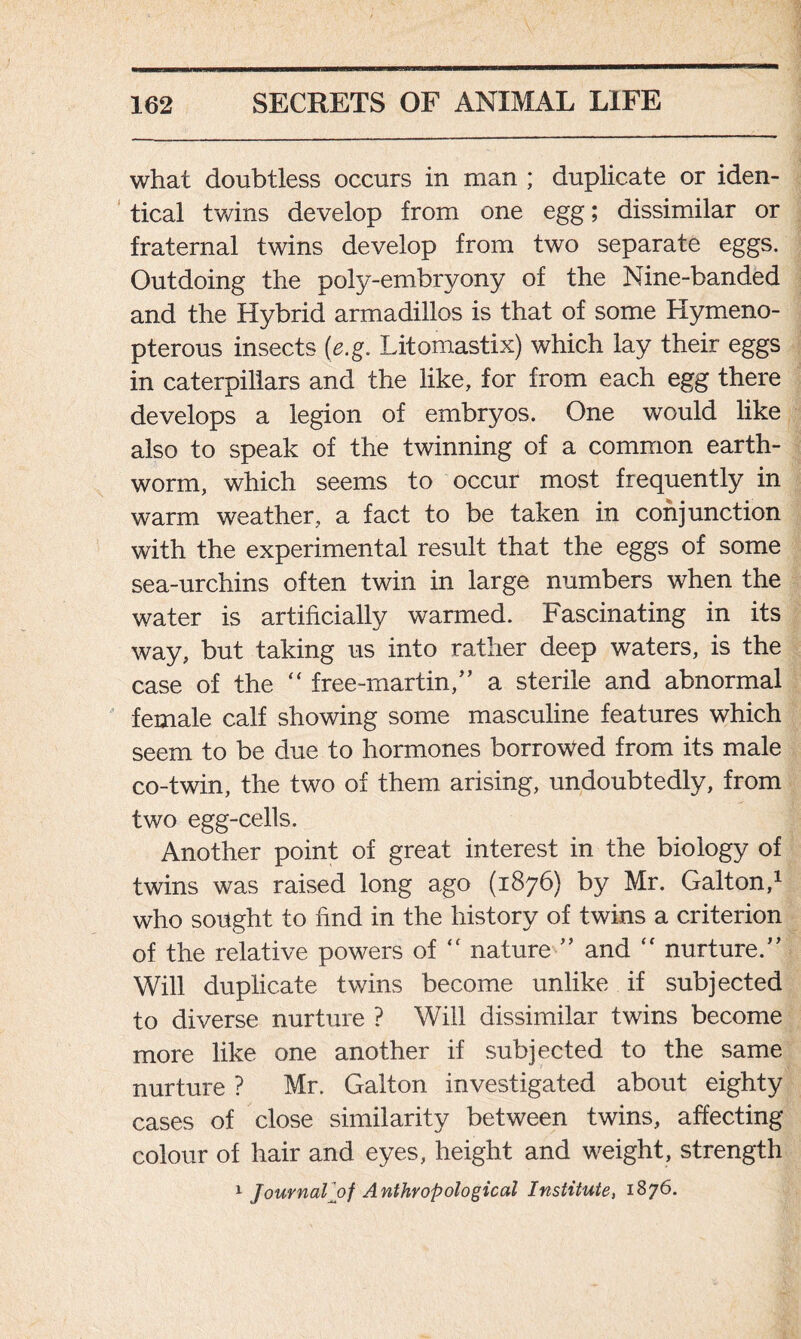 what doubtless occurs in man ; duplicate or iden- tical twins develop from one egg; dissimilar or fraternal twins develop from two separate eggs. Outdoing the poly-embryony of the Nine-banded and the Hybrid armadillos is that of some Hymeno- pterous insects {e.g. Litomastix) which lay their eggs in caterpillars and the like, for from each egg there develops a legion of embryos. One would like also to speak of the twinning of a common earth- worm, which seems to occur most frequently in warm weather, a fact to be taken in conjunction with the experimental result that the eggs of some sea-urchins often twin in large numbers when the water is artificially warmed. Fascinating in its way, but taking us into rather deep waters, is the case of the  free-martin,” a sterile and abnormal female calf showing some masculine features which seem to be due to hormones borrowed from its male co-twin, the two of them arising, undoubtedly, from two egg-cells. Another point of great interest in the biology of twins was raised long ago (1876) by Mr. Galton,1 who sought to find in the history of twins a criterion of the relative powers of “ nature ” and “ nurture.” Will duplicate twins become unlike if subjected to diverse nurture ? Will dissimilar twins become more like one another if subjected to the same nurture ? Mr. Galton investigated about eighty cases of close similarity between twins, affecting colour of hair and eyes, height and weight, strength 1 Journalj)f Anthropological Institute, 1876.