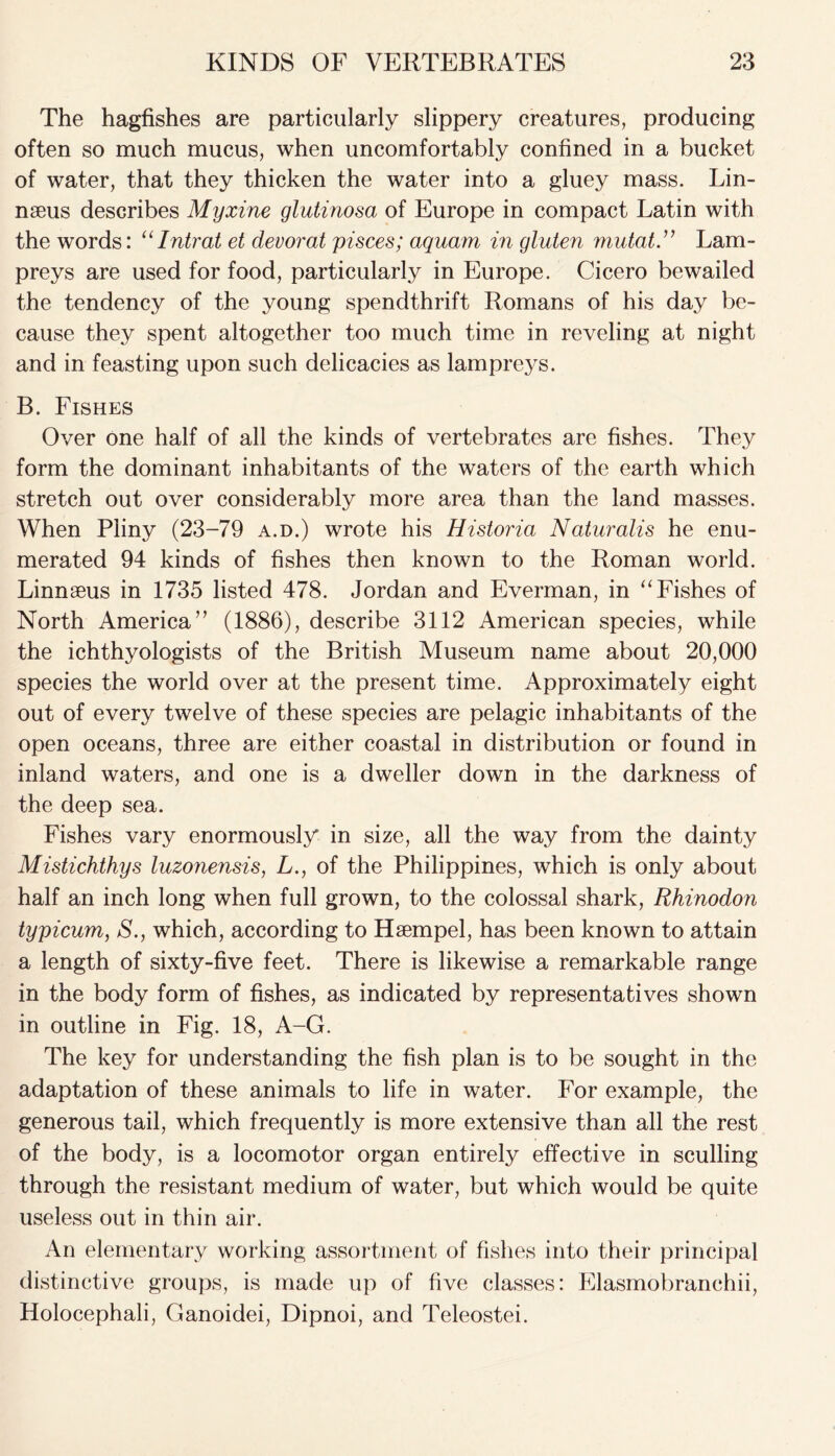 The hagfishes are particularly slippery creatures, producing often so much mucus, when uncomfortably confined in a bucket of water, that they thicken the water into a gluey mass. Lin- naeus describes Myxine glutinosa of Europe in compact Latin with the words: “Intrat et devorat pisces; aquam in gluten mutat.” Lam- preys are used for food, particularly in Europe. Cicero bewailed the tendency of the young spendthrift Romans of his day be- cause they spent altogether too much time in reveling at night and in feasting upon such delicacies as lampreys. B. Fishes Over one half of all the kinds of vertebrates are fishes. They form the dominant inhabitants of the waters of the earth which stretch out over considerably more area than the land masses. When Pliny (23-79 a.d.) wrote his Historia Naturalis he enu- merated 94 kinds of fishes then known to the Roman world. Linnaeus in 1735 listed 478. Jordan and Everman, in “Fishes of North America” (1886), describe 3112 American species, while the ichthyologists of the British Museum name about 20,000 species the world over at the present time. Approximately eight out of every twelve of these species are pelagic inhabitants of the open oceans, three are either coastal in distribution or found in inland waters, and one is a dweller down in the darkness of the deep sea. Fishes vary enormously in size, all the way from the dainty Mistichthys luzonensis, L., of the Philippines, which is only about half an inch long when full grown, to the colossal shark, Rhinodon typicum, S., which, according to Haempel, has been known to attain a length of sixty-five feet. There is likewise a remarkable range in the body form of fishes, as indicated by representatives shown in outline in Fig. 18, A-G. The key for understanding the fish plan is to be sought in the adaptation of these animals to life in water. For example, the generous tail, which frequently is more extensive than all the rest of the body, is a locomotor organ entirely effective in sculling through the resistant medium of water, but which would be quite useless out in thin air. An elementary working assortment of fishes into their principal distinctive groups, is made up of five classes: Elasmobranchii, Holocephali, Ganoidei, Dipnoi, and Teleostei.