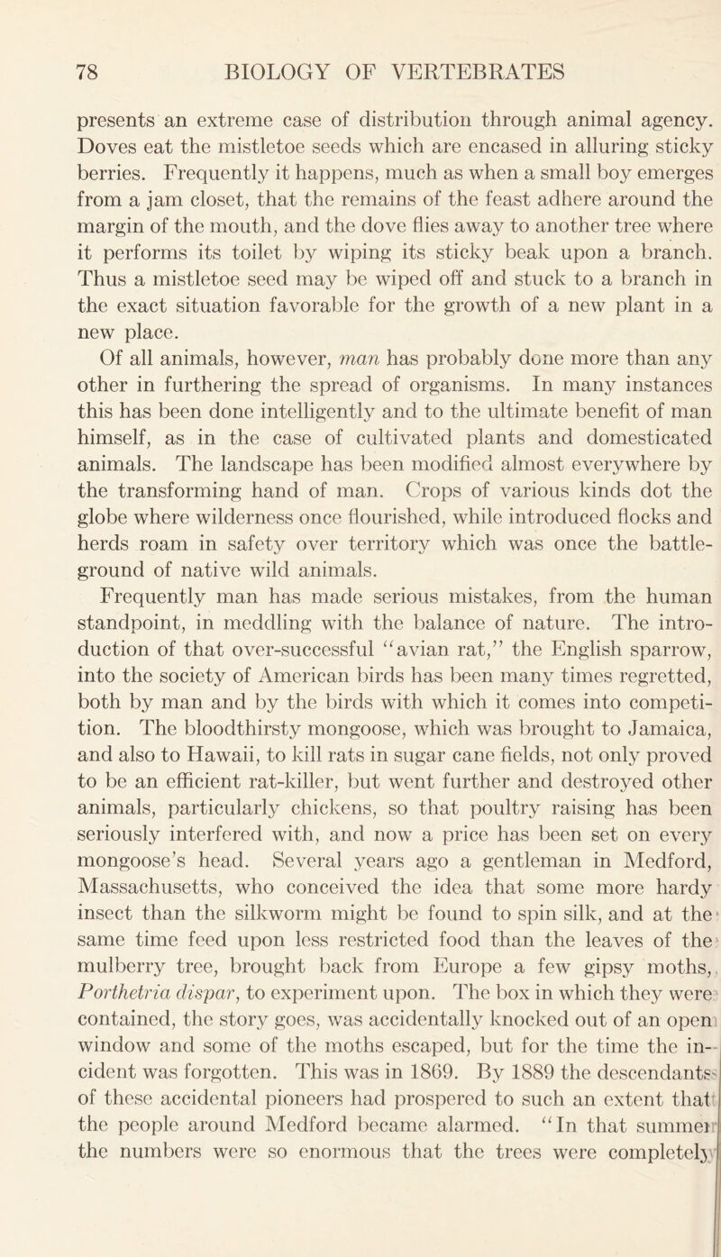 presents an extreme case of distribution through animal agency. Doves eat the mistletoe seeds which are encased in alluring sticky berries. Frequently it happens, much as when a small boy emerges from a jam closet, that the remains of the feast adhere around the margin of the mouth, and the dove flies away to another tree where it performs its toilet by wiping its sticky beak upon a branch. Thus a mistletoe seed may be wiped off and stuck to a branch in the exact situation favorable for the growth of a new plant in a new place. Of all animals, however, man has probably done more than any other in furthering the spread of organisms. In many instances this has been done intelligently and to the ultimate benefit of man himself, as in the case of cultivated plants and domesticated animals. The landscape has been modified almost everywhere by the transforming hand of man. Crops of various kinds dot the globe where wilderness once flourished, while introduced flocks and herds roam in safety over territory which was once the battle- ground of native wild animals. Frequently man has made serious mistakes, from the human standpoint, in meddling with the balance of nature. The intro- duction of that over-successful “avian rat,” the English sparrow, into the society of American birds has been many times regretted, both by man and by the birds with which it comes into competi- tion. The bloodthirsty mongoose, which was brought to Jamaica, and also to Hawaii, to kill rats in sugar cane fields, not only proved to be an efficient rat-killer, but went further and destroyed other animals, particularly chickens, so that poultry raising has been seriously interfered with, and now a price has been set on every mongoose’s head. Several years ago a gentleman in Medford, Massachusetts, who conceived the idea that some more hardy insect than the silkworm might be found to spin silk, and at the same time feed upon less restricted food than the leaves of the mulberry tree, brought back from Europe a few gipsy moths, Porthetria dispar, to experiment upon. The box in which they were contained, the story goes, was accidentally knocked out of an open window and some of the moths escaped, but for the time the in- cident was forgotten. This was in 1869. By 1889 the descendants- of these accidental pioneers had prospered to such an extent thaf the people around Medford became alarmed. “In that summeir the numbers were so enormous that the trees were complete!}