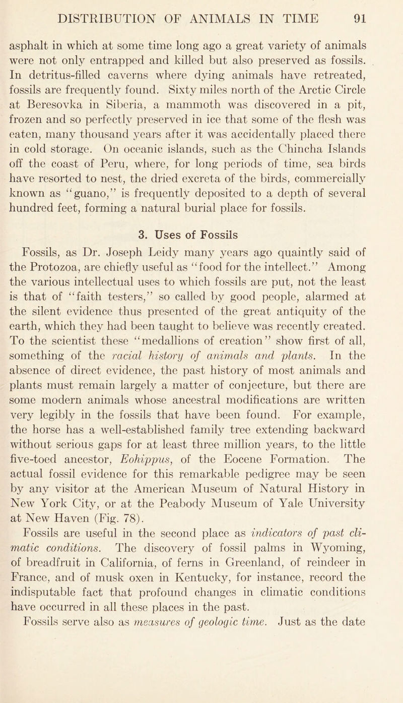 asphalt in which at some time long ago a great variety of animals were not only entrapped and killed but also preserved as fossils. In detritus-filled caverns where dying animals have retreated, fossils are frequently found. Sixty miles north of the Arctic Circle at Beresovka in Siberia, a mammoth was discovered in a pit, frozen and so perfectly preserved in ice that some of the flesh was eaten, many thousand years after it was accidentally placed there in cold storage. On oceanic islands, such as the Chincha Islands off the coast of Peru, where, for long periods of time, sea birds have resorted to nest, the dried excreta of the birds, commercially known as “guano,” is frequently deposited to a depth of several hundred feet, forming a natural burial place for fossils. 3, Uses of Fossils Fossils, as Dr. Joseph Leidy many years ago quaintly said of the Protozoa, are chiefly useful as “food for the intellect.” Among the various intellectual uses to which fossils are put, not the least is that of “faith testers,” so called by good people, alarmed at the silent evidence thus presented of the great antiquity of the earth, which they had been taught to believe was recently created. To the scientist these “medallions of creation” show first of all, something of the racial history of animals and plants. In the absence of direct evidence, the past history of most animals and plants must remain largely a matter of conjecture, but there are some modern animals whose ancestral modifications are written very legibly in the fossils that have been found. For example, the horse has a well-established family tree extending backward without serious gaps for at least three million years, to the little five-toed ancestor, Eohippus, of the Eocene Formation. The actual fossil evidence for this remarkable pedigree may be seen by any visitor at the American Museum of Natural History in New York City, or at the Peabody Museum of Yale University at New Haven (Fig. 78). Fossils are useful in the second place as indicators of past cli- matic conditions. The discovery of fossil palms in Wyoming, of breadfruit in California, of ferns in Greenland, of reindeer in France, and of musk oxen in Kentucky, for instance, record the indisputable fact that profound changes in climatic conditions have occurred in all these places in the past. Fossils serve also as measures of geologic time. Just as the date