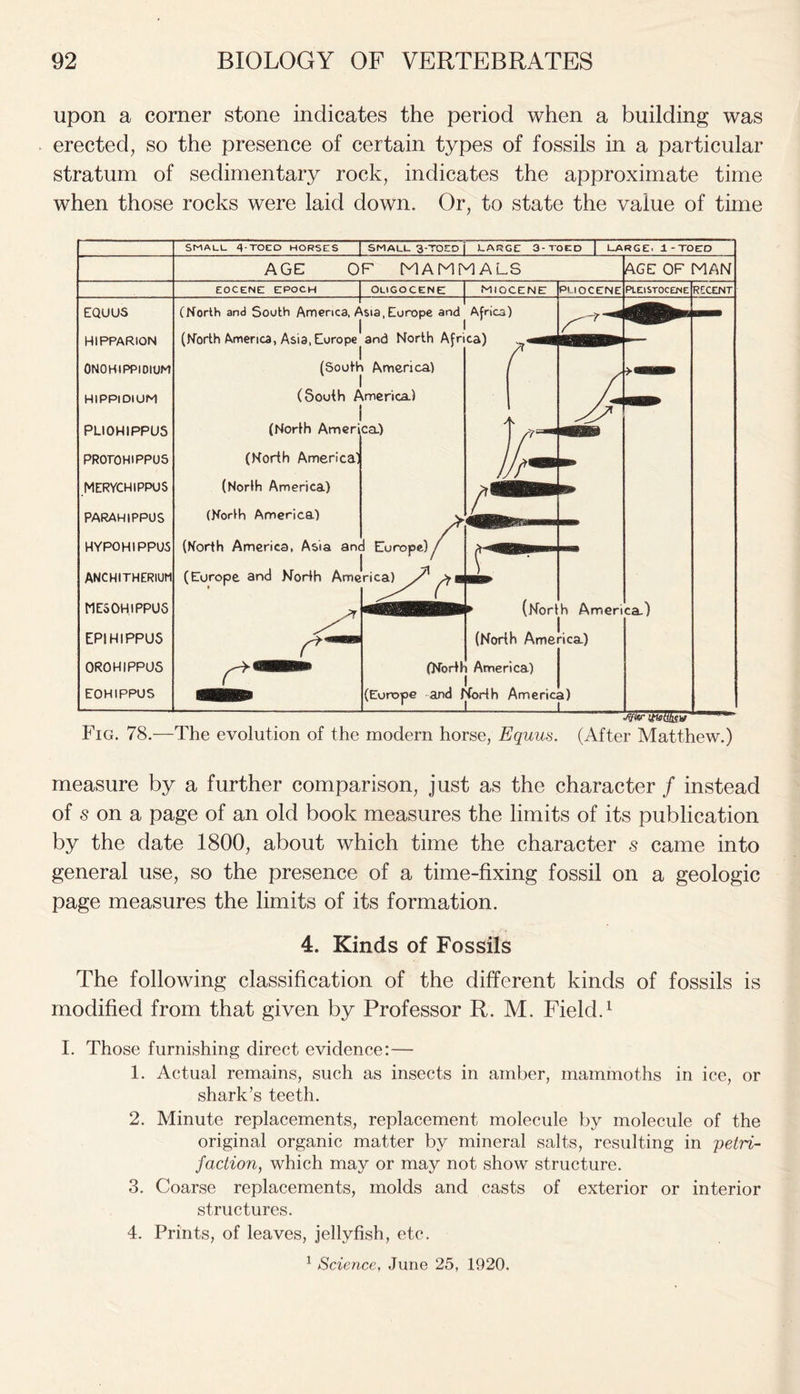 upon a corner stone indicates the period when a building was erected, so the presence of certain types of fossils in a particular stratum of sedimentary rock, indicates the approximate time when those rocks were laid down. Or, to state the value of time SMALL 4-TOCO HORSES I SMALL 3-TOED j LARGE 3-TOED | LARGE. 1-TOED AGE OF MAMMALS EOCENE EPOCH OLIGOCENE Miocene pmocene AGE OF MAN RCCENT EQUUS HIPPARION 0NOHIPPIOIUM HIPPlDlUM PLIOHIPPUS PROTOHIPPUS MERYCHIPPUS PARAHIPPUS HYPOHIPPUS ANCHITHERIUM MES0H.1PPUS EPIHIPPU5 OROHIPPOS EOHIPPUS (North and Sooth America, Asia, Europe and Africa) (Horth America, Asia, Europe and North Africa) (South America) (South America.) ! (North America.) (North America’ (North America) (North America) (North America, Asia and Europe) (Europe and North America) r*' r * (North America) (North America) (North America) (Europe and North America) titoUllfV Fig. 78.—The evolution of the modern horse, Equus. (After Matthew.) measure by a further comparison, just as the character / instead of s on a page of an old book measures the limits of its publication by the date 1800, about which time the character s came into general use, so the presence of a time-fixing fossil on a geologic page measures the limits of its formation. 4. Kinds of Fossils The following classification of the different kinds of fossils is modified from that given by Professor R. M. Field.1 I. Those furnishing direct evidence:— 1. Actual remains, such as insects in amber, mammoths in ice, or shark’s teeth. 2. Minute replacements, replacement molecule by molecule of the original organic matter by mineral salts, resulting in petri- faction, which may or may not show structure. 3. Coarse replacements, molds and casts of exterior or interior structures. 4. Prints, of leaves, jellyfish, etc. 1 Science, June 25, 1920.