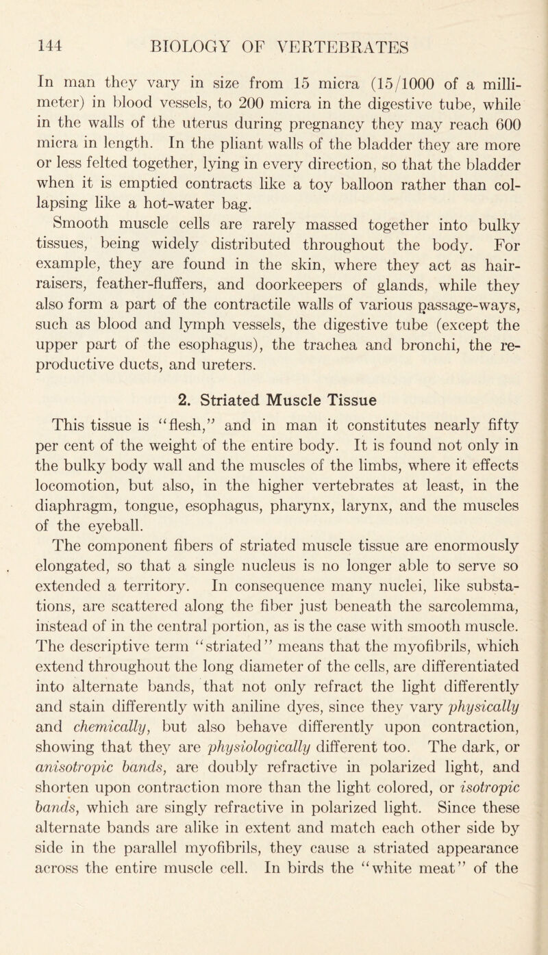 In man they vary in size from 15 micra (15/1000 of a milli- meter) in blood vessels, to 200 micra in the digestive tube, while in the walls of the uterus during pregnancy they may reach 600 micra in length. In the pliant walls of the bladder they are more or less felted together, lying in every direction, so that the bladder when it is emptied contracts like a toy balloon rather than col- lapsing like a hot-water bag. Smooth muscle cells are rarely massed together into bulky tissues, being widely distributed throughout the body. For example, they are found in the skin, where they act as hair- raisers, feather-fluffers, and doorkeepers of glands, while they also form a part of the contractile walls of various passage-ways, such as blood and lymph vessels, the digestive tube (except the upper part of the esophagus), the trachea and bronchi, the re- productive ducts, and ureters. 2. Striated Muscle Tissue This tissue is “flesh,” and in man it constitutes nearly fifty per cent of the weight of the entire body. It is found not only in the bulky body wall and the muscles of the limbs, where it effects locomotion, but also, in the higher vertebrates at least, in the diaphragm, tongue, esophagus, pharynx, larynx, and the muscles of the eyeball. The component fibers of striated muscle tissue are enormously elongated, so that a single nucleus is no longer able to serve so extended a territory. In consequence many nuclei, like substa- tions, are scattered along the fiber just beneath the sarcolemma, instead of in the central portion, as is the case with smooth muscle. The descriptive term “striated” means that the myofibrils, which extend throughout the long diameter of the cells, are differentiated into alternate bands, that not only refract the light differently and stain differently with aniline dyes, since they vary physically and chemically, but also behave differently upon contraction, showing that they are physiologically different too. The dark, or anisotropic bands, are doubly refractive in polarized light, and shorten upon contraction more than the light colored, or isotropic bands, which are singly refractive in polarized light. Since these alternate bands are alike in extent and match each other side by side in the parallel myofibrils, they cause a striated appearance across the entire muscle cell. In birds the “white meat” of the