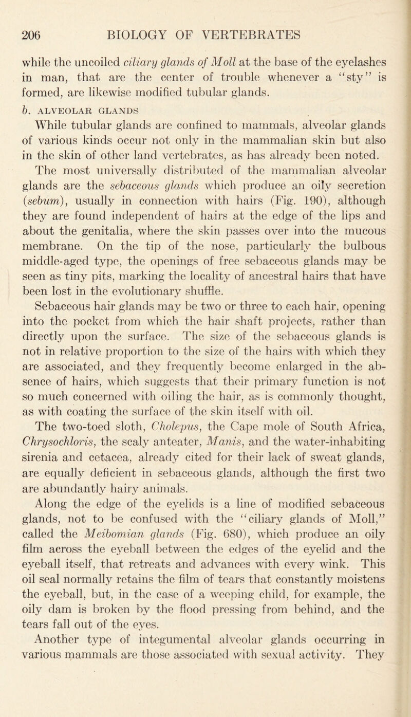 while the uncoiled ciliary glands of Moll at the base of the eyelashes in man, that are the center of trouble whenever a “sty” is formed, are likewise modified tubular glands. b. ALVEOLAR GLANDS While tubular glands are confined to mammals, alveolar glands of various kinds occur not only in the mammalian skin but also in the skin of other land vertebrates, as has already been noted. The most universally distributed of the mammalian alveolar glands are the sebaceous glands which produce an oily secretion {sebum), usually in connection with hairs (Fig. 190), although they are found independent of hairs at the edge of the lips and about the genitalia, where the skin passes over into the mucous membrane. On the tip of the nose, particularly the bulbous middle-aged type, the openings of free sebaceous glands may be seen as tiny pits, marking the locality of ancestral hairs that have been lost in the evolutionary shuffle. Sebaceous hair glands may be two or three to each hair, opening into the pocket from which the hair shaft projects, rather than directly upon the surface. The size of the sebaceous glands is not in relative proportion to the size of the hairs with which they are associated, and they frequently become enlarged in the ab- sence of hairs, which suggests that their primary function is not so much concerned with oiling the hair, as is commonly thought, as with coating the surface of the skin itself with oil. The two-toed sloth, Cholepus, the Cape mole of South Africa, Chrysochloris, the scaly anteater, Manis, and the water-inhabiting sirenia and cetacea, already cited for their lack of sweat glands, are equally deficient in sebaceous glands, although the first two are abundantly hairy animals. Along the edge of the ej^elids is a line of modified sebaceous glands, not to be confused with the “ciliary glands of Moll,” called the Meibomian glands (Fig. 680), which produce an oily film across the eyeball between the edges of the eyelid and the eyeball itself, that retreats and advances with every wink. This oil seal normally retains the film of tears that constantly moistens the eyeball, but, in the case of a weeping child, for example, the oily dam is broken by the flood pressing from behind, and the tears fall out of the eyes. Another type of integumental alveolar glands occurring in various mammals are those associated with sexual activity. They