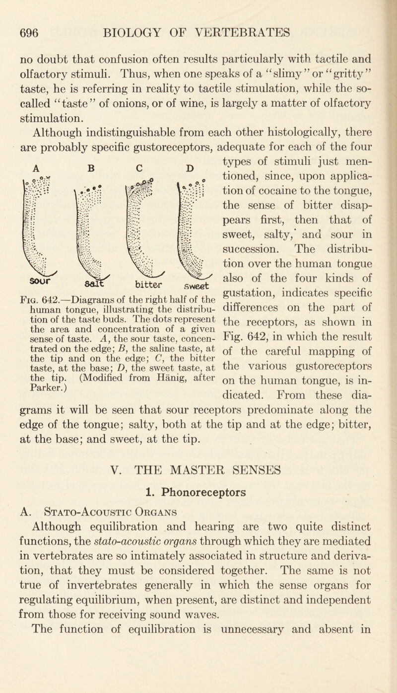 no doubt that confusion often results particularly with tactile and olfactory stimuli. Thus, when one speaks of a “slimy ” or “gritty” taste, he is referring in reality to tactile stimulation, while the so- called “taste” of onions, or of wine, is largely a matter of olfactory stimulation. Although indistinguishable from each other histologically, there are probably specific gustoreceptors, adequate for each of the four types of stimuli just men- tioned, since, upon applica- tion of cocaine to the tongue, the sense of bitter disap- pears first, then that of sweet, salty,’ and sour in succession. The distribu- tion over the human tongue also of the four kinds of gustation, indicates specific differences on the part of the receptors, as shown in Fig. 642, in which the result of the careful mapping of the various gustoreceptors on the human tongue, is in- dicated. From these dia- grams it will be seen that sour receptors predominate along the edge of the tongue; salty, both at the tip and at the edge; bitter, at the base; and sweet, at the tip. V. THE MASTER SENSES 1. Phonoreceptors A. Stato-Acoustic Organs Although equilibration and hearing are two quite distinct functions, the stato-acoustic organs through which they are mediated in vertebrates are so intimately associated in structure and deriva- tion, that they must be considered together. The same is not true of invertebrates generally in which the sense organs for regulating equilibrium, when present, are distinct and independent from those for receiving sound waves. The function of equilibration is unnecessary and absent in B D O?-* i - f?i::. sour sweet Fig. 642.—Diagrams of the right half of the human tongue, illustrating the distribu- tion of the taste buds. The dots represent the area and concentration of a given sense of taste. A, the sour taste, concen- trated on the edge; B, the saline taste, at the tip and on the edge; C, the bitter taste, at the base; D, the sweet taste, at the tip. (Modified from Hanig, after Parker.)