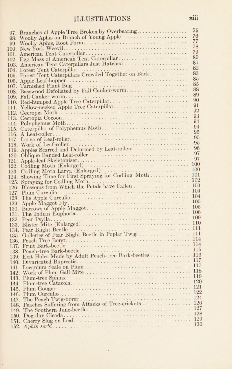 97. Branches of Apple Tree Broken by Overbearing 98. Woolly Aphis on Branch of Young Apple no 'K'KTn/'.] l-.r Anliio L?r»nt R'nrm 75 76 77 yy. vv ooiiy /Ypiiio> ituui x uixu. 78 im Amnvinnn Toni C^.O LpTm 1 1Q T* 79 .LUX* AIIlcIltd/Il l tJiit v^dtcipuiai 102. Egg Mass of American Tent Caterpillar 103. American Tent Caterpillars Just Hatched 80 81 82 IUte. -TOIGoL XGIIL LC/1 JJllItXl 105. Forest Tent Caterpillars Crowded Together on Bark 83 85 108. Basswood Defoliated by Fall Canker-worm 85 88 89 11A T) nrvM-vnrl A rvrvln Trno f ATIYI11 H T* 90 11U. xl6Q-nuinp6Q /ippiG xiet; v^d/tei pxixai. 111 -v~\r~\A Y'vrvl^k Tt*dd nQfprm hr 91 ill. 1 6llOW-HeCK6Q ixppiG -Liee v>tUCipniai no A/T^+V. 92 ±±A. CA;Blupia XVJLutil 94 llO. v_z£lLGrpiliar OI t OiypiiGiiiub ivxulii 95 95 Ill, ljc&l V (X U1 Dt/dil 1 95 119. Apples Scarred and Deformed by Leaf-rollers 1 OH r\Vvli'miA T^or^rlorl T.ocif-rrJIpr . 96 97 1ZU. V_yDIlC[LlG lYdIJClt;Cl XI UllCl 121. Apple-leaf Skeletonizer lOO r^/~vrlliY-» rr ]\/Trkf 1» f TT T4 1 G TCTPrO 97 100 1 ZZ. V_zOUllIlg lVXUbll 123. Codling Moth Larva (Enlarged) 124. Showing Time for First Spraying for Codling Moth 100 101 102 izd. opraymg loi cuumi^ ivxulu • 126. Blossoms from Which the Petals have Fallen 103 104 104 105 izy. AAppiG iVXd,gg<JL 1 105 lOU. lYUIIOWb Ui jrYpjJio 106 133. Blister Mite (Enlarged) 110 Ill loi. rear oiigiiu • *# 135. Galleries of Pear Blight Beetle in Poplar 4 wig 1 an T^pqpVi Trpp PnrPT Ill 114 DjO. 1 cdjLll X ILL 1 Li . 114 138. Peach-tree Bark-beetle • • • 139. Exit Holes Made by Adult Peach-tree Bark-beetles 115 116 117 HU. L/iVdllLduLU. DupiLouo 141. Lecanium Scale on Plum 142. Work of Plum Gall Mite 1 A a Plum I-T-OP SnVnnv 117 118 119 120 121 122 124 14:#. 1 I1G xtJdfCIl 1 Wl^'OUlOi * * 148. Peaches Suffering from Attacks of Tree-crickets 149. The Southern June-beetle 126 127 128 1 Qlnrr on T.oqt 129 vuenj i on