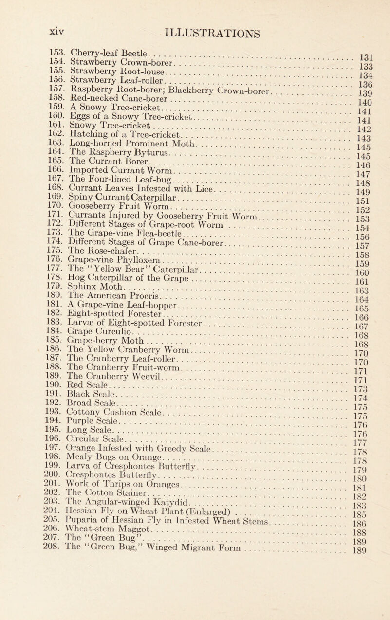 153. Cherry-leaf Beetle 154. Strawberry Crown-borer ' ' 155. Strawberry Root-louse 156. Strawberry Leaf-roller 157. Raspberry Root-borer; Blackberry Crown-borer 158. Red-necked Cane-borer 159. A Snowy Tree-cricket 160. Eggs of a Snowy Tree-cricket 161. Snowy Tree-cricket 162. Hatching of a Tree-cricket 163. Long-horned Prominent Moth 164. The Raspberry Byturus 165. The Currant Borer 166. Imported Currant Worm 167. The Four-lined Leaf-bug 168. Currant Leaves Infested with Lice 169. Spiny Currant Caterpillar 170. Gooseberry Fruit Worm 171. Currants Injured by Gooseberry Fruit Worm. 172. Different Stages of Grape-root Worm 173. The Grape-vine Flea-beetle 174. Different Stages of Grape Cane-borer ’ 175. The Rose-chafer 176. Grape-vine Phylloxera 177. The “Yellow Bear” Caterpillar 178. Hog Caterpillar of the Grape 179. Sphinx Moth 180. The American Procris 181. A Grape-vine Leaf-hopper 182. Eight-spotted Forester 183. Larvae of Eight-spotted Forester 184. Grape Curculio 185. Grape-berry Moth 186. The Yellow Cranberry Worm 187. The Cranberry Leaf-roller 188. The Cranberry Fruit-worm 189. The Cranberry Weevil 190. Red Scale 191. Black Scale 192. Broad Scale 193. Cottony Cushion Scale 194. Purple Scale 195. Long Scale 196. Circular Scale 197. Orange Infested with Greedy Scale 198. Mealy Bugs on Orange 199. Larva of Cresphontes Butterfly 200. Cresphontes Butterfly 201. Work of Thrips on Oranges 202. The Cotton Stainer 203. The Angular-winged Katydid 204. Hessian Fly on Wheat Plant (Enlarged) 205. Puparia of Hessian Fly in Infested Wheat Stems. 206. Wheat-stem Maggot 207. The “Green Bug” 208. The “Green Bug,” Winged Migrant Form 131 133 134 136 139 140 141 141 142 143 145 145 146 147 148 149 151 152 153 154 156 157 158 159 160 161 163 164 165 166 167 168 168 170 170 171 171 173 174 175 175 176 176 177 178 178 179 180 181 182 183 185 186 188 189 189