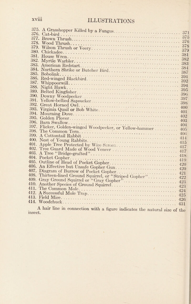 37o. A Grasshopper Killed by a Fungus 376. Cat-bird * g 377. Brown Thrush 378. Wood Thrush 379. Wilson Thrush or Veery 380. Chickadee 381. House Wren 382. Myrtle Warbler 383. American Redstart 384. Northern Shrike or Butcher Bird. . . . 385. Bobolink 386. Red-winged Blackbird 387. Whippoorwill 388. Night Hawk 389. Belted Kingfisher 390. Downy Woodpecker 391. Yellow-bellied Sapsucker 392. Great Horned Owl 393. Virginia Quail or Bob White 394. Mourning Dove 395. Golden Plover 396. Barn Swallow 397. Flicker, Golden-winged Woodpecker, or Yellow-hammer 398. The Common Tern 399. A Cottontail Rabbit 400. Nest of Young Rabbits 401. Apple Tree Protected by Wire Screen 402. Tree Guard Made of Wood Veneer 403. A Tree “Bridge-grafted” 404. Pocket Gopher 405. Outline of Head of Pocket Gopher. .... 406. An Effective but Unsafe Gopher Gun ^ * 407. Diagram of Burrow of Pocket Gopher 408. Thirteen-lined Ground Squirrel, or “Striped Gopher”. 7. 409. Gray Ground Squirrel or “Gray Gopher” 410. Another Species of Ground Squirrel 411. The Common Mole 412. A Successful Mole Trap. . . . 413. Field Mice 777777;;;;;;;;;; 414. Woodchuck . 371 . 375 . 376 . 378 . 379 . 381 . 382 . 383 . 384 . 387 . 391 . 392 394 395 396 397 398 400 401 402 403 404 405 406 414 415 417 417 418 419 420 420 421 422 423 423 424 425 426 431 A hair line in connection with a figure indicates the natural size of the insect.