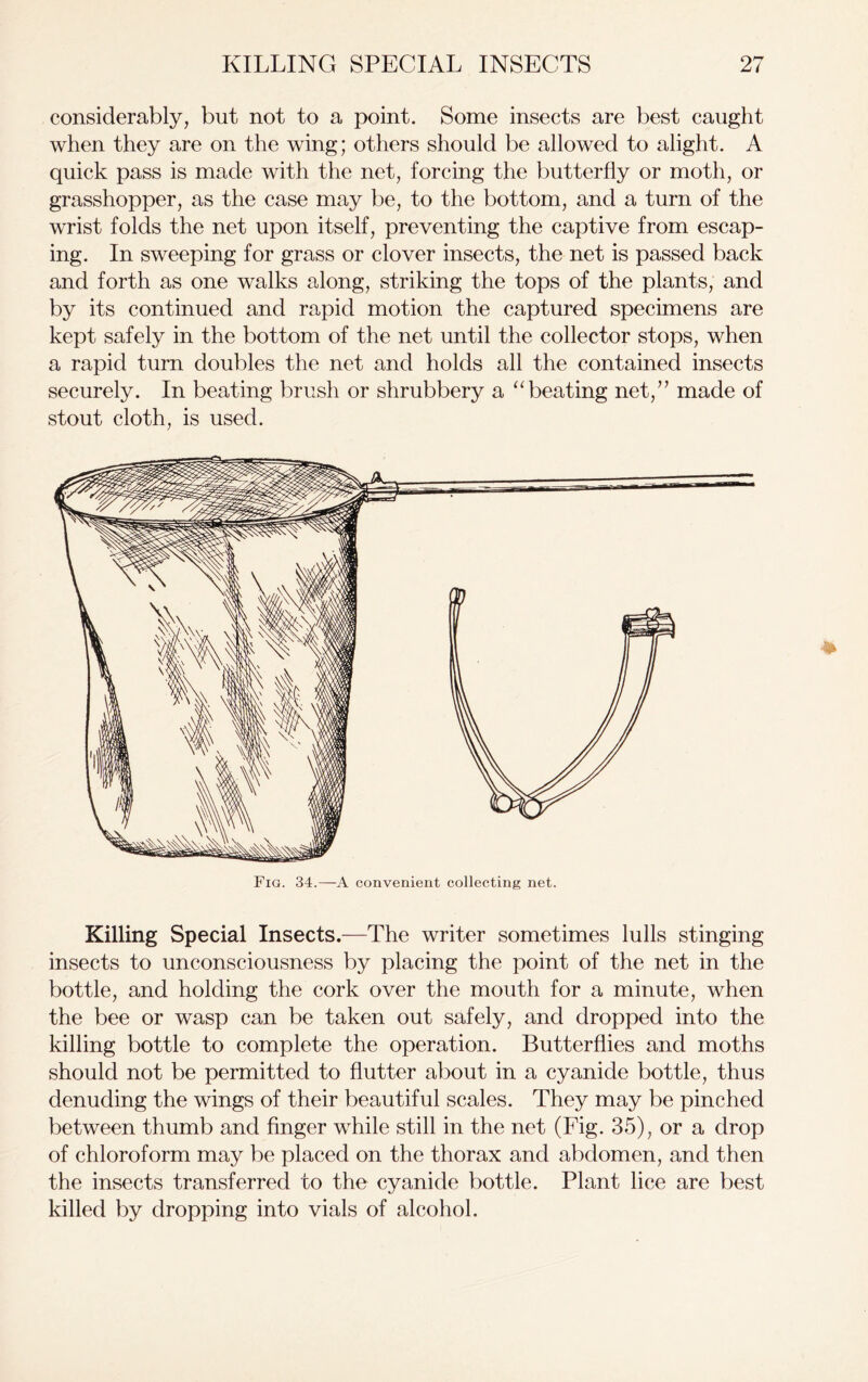 considerably, but not to a point. Some insects are best caught when they are on the wing; others should be allowed to alight. A quick pass is made with the net, forcing the butterfly or moth, or grasshopper, as the case may be, to the bottom, and a turn of the wrist folds the net upon itself, preventing the captive from escap- ing. In sweeping for grass or clover insects, the net is passed back and forth as one walks along, striking the tops of the plants, and by its continued and rapid motion the captured specimens are kept safely in the bottom of the net until the collector stops, when a rapid turn doubles the net and holds all the contained insects securely. In beating brush or shrubbery a “beating net/’ made of stout cloth, is used. Killing Special Insects.—The writer sometimes lulls stinging insects to unconsciousness by placing the point of the net in the bottle, and holding the cork over the mouth for a minute, when the bee or wasp can be taken out safely, and dropped into the killing bottle to complete the operation. Butterflies and moths should not be permitted to flutter about in a cyanide bottle, thus denuding the wings of their beautiful scales. They may be pinched between thumb and finger while still in the net (Fig. 35), or a drop of chloroform may be placed on the thorax and abdomen, and then the insects transferred to the cyanide bottle. Plant lice are best killed by dropping into vials of alcohol.