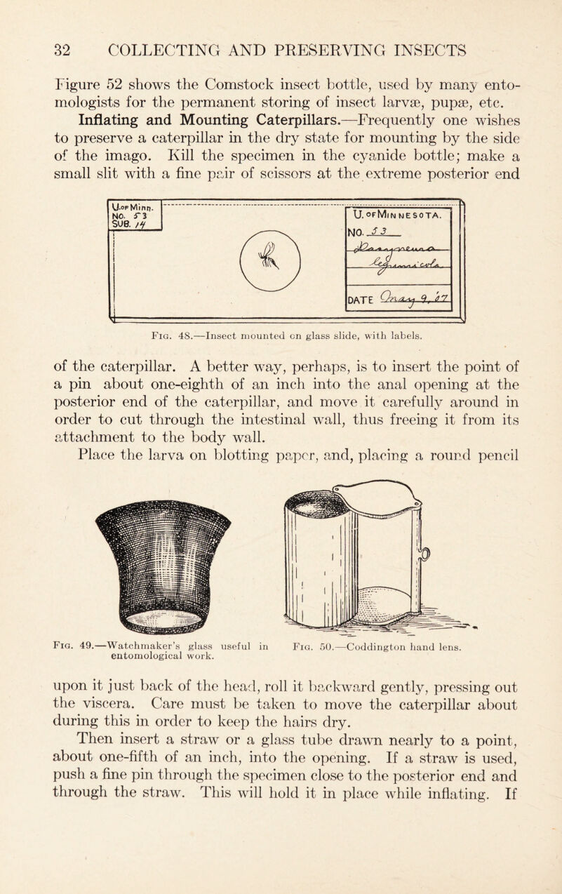 Figure 52 shows the Comstock insect bottle, used by many ento- mologists for the permanent storing of insect larvae, pupae, etc. Inflating and Mounting Caterpillars.—Frequently one wishes to preserve a caterpillar in the dry state for mounting by the side of the imago. Kill the specimen in the cyanide bottle; make a small slit with a fine pair of scissors at the extreme posterior end Fig. 48.—Insect mounted cn glass slide, with labels. of the caterpillar. A better way, perhaps, is to insert the point of a pin about one-eighth of an inch into the anal opening at the posterior end of the caterpillar, and move it carefully around in order to cut through the intestinal wall, thus freeing it from its attachment to the body wall. Place the larva on blotting paper, and, placing a round pencil Fig. 49.—Watchmaker’s glass useful in Fig. 50.—Coddington hand lens, entomological work. upon it just back of the head, roll it backward gently, pressing out the viscera. Care must be taken to move the caterpillar about during this in order to keep the hairs dry. Then insert a straw or a glass tube drawn nearly to a point, about one-fifth of an inch, into the opening. If a straw is used, push a fine pin through the specimen close to the posterior end and through the straw. This will hold it in place while inflating. If