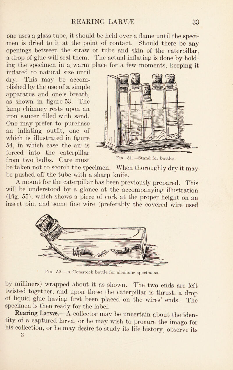 one uses a glass tube, it should be held over a flame until the speci- men is dried to it at the point of contact. Should there be any openings between the straw or tube and skin of the caterpillar, a drop of glue will seal them. The actual inflating is done by hold- ing the specimen in a warm place for a few moments, keeping it inflated to natural size until dry. This may be accom- plished by the use of a simple apparatus and one’s breath, as shown in figure 53. The lamp chimney rests upon an iron saucer filled with sand. One may prefer^ to purchase an inflating outfit, one of which is illustrated in figure 54, in which case the air is forced into the caterpillar from two bulbs. Care must be taken not to scorch the specimen. When thoroughly dry it may be pushed off the tube with a sharp knife. A mount for the caterpillar has been previously prepared. This will be understood by a glance at the accompanying illustration (Fig. 55), which shows a piece of cork at the proper height on an insect pin, and some fine wire (preferably the covered wire used Fig. 52. A Comstock bottle for alcoholic specimens. by milliners) wrapped about it as shown. The two ends are left twisted together, and upon these the caterpillar is thrust, a drop of liquid glue having first been placed on the wires’ ends. The specimen is then ready for the label. Rearing Larvae.—A collector may be uncertain about the iden- tity of a captured larva, or he may wish to procure the imago for his collection, or he may desire to study its life history, observe its 3