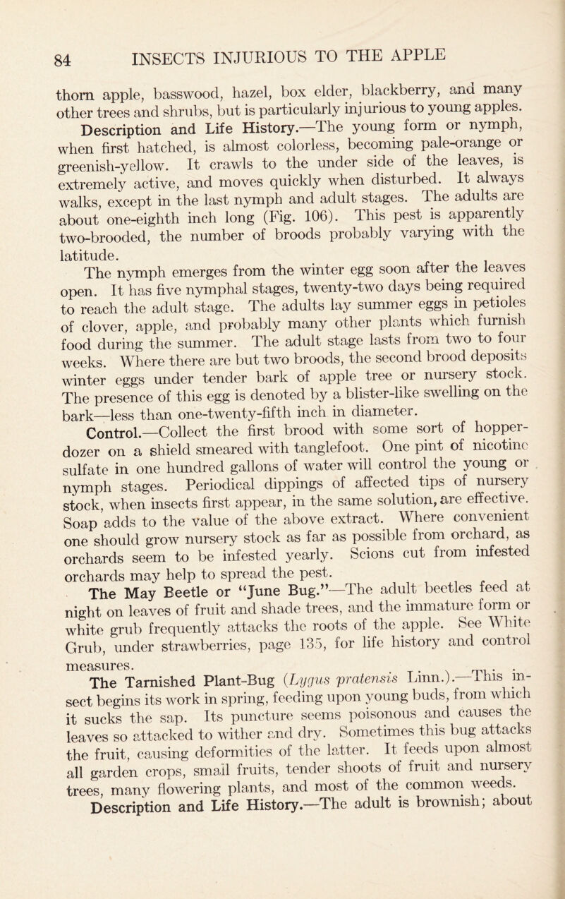 thorn apple, basswood, hazel, box elder, blackberry, ana many other trees and shrubs, but is particularly injurious to young apples. Description and Life History.—The young form or nymph, when first hatched, is almost colorless, becoming pale-orange or greenish-yellow. It crawls to the under side of the leaves, is extremely active, and moves quickly when disturbed. It always walks, except in the last nymph and adult stages. The adults are about one-eighth inch long (Fig. 106). This pest is apparently two-brooded, the number of broods probably varying with the latitude. The nymph emerges from the winter egg soon after the leaves open. It has five nymphal stages, twenty-two days being required to reach the adult stage. The adults lay summer eggs in petioles of clover, apple, and probably many other plants which furnish food during the summer. The adult stage lasts from two to four weeks. Where there are but two broods, the second brood deposits winter eggs under tender bark of apple tree or nursery stock. The presence of this egg is denoted by a blister-like swelling on the bark—less than one-twenty-fifth inch in diameter. Control—Collect the first brood with some sort of hopper- dozer on a shield smeared with tanglefoot. One pint of nicotine sulfate in one hundred gallons of water will control the young or nymph stages. Periodical dippings of affected tips of nursery stock, when insects first appear, in the same solution, are effective. Soap adds to the value of the above extract. Where convenient one should grow nursery stock as far as possible from orchard, as orchards seem to be infested yearly. Scions cut from infested orchards may help to spread the pest. The May Beetle or “June Bug.”—The adult beetles feed at night on leaves of fruit and shade trees, and the immature form or white grub frequently attacks the roots of the apple. See A hito Grub, under strawberries, page 135, for life history and control measures. . . The Tarnished Plant-Bug (Lygus pratensis Linn.).—a-his in- sect begins its work in spring, feeding upon young buds, from which it sucks the sap. Its puncture seems poisonous and causes the leaves so attacked to wither and dry. Sometimes this bug attacks the fruit, causing deformities of the latter. It feeds upon almost all garden crops, small fruits, tender shoots of fruit and nursery trees, many flowering plants, and most of the common weeds. Description and Life History.—The adult is brownish; about