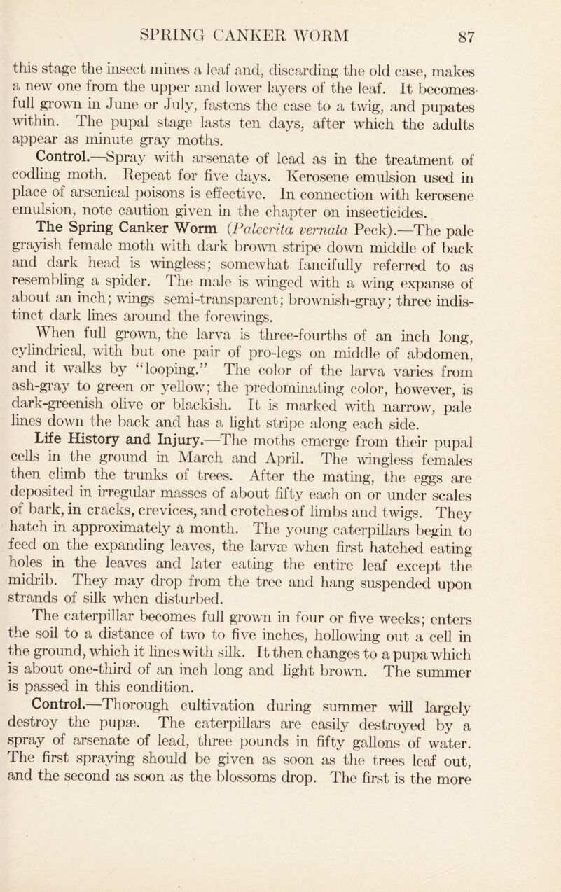 this stage the insect mines a leaf and, discarding the old case, makes a new one from the upper and lower layers of the leaf. It becomes- full grown in June or July, fastens the case to a twig, and pupates within. The pupal stage lasts ten days, after which the adults appear as minute gray moths. Control.—Spray with arsenate of lead as in the treatment of codling moth. Repeat for five days. Kerosene emulsion used in place of arsenical poisons is effective. In connection with kerosene emulsion, note caution given in the chapter on insecticides. The Spring Canker Worm (.Palecrita vernata Peck).—The pale grayish female moth with dark brown stripe down middle of back and dark head is wingless; somewhat fancifully referred to as resembling a spider. The male is winged with a wing expanse of about an inch; wings semi-transparent; brownish-gray; three indis- tinct dark lines around the forewings. When full grown, the larva is three-fourths of an inch long, cylindrical, with but one pair of pro-legs on middle of abdomen, and it walks by “looping.” The color of the larva varies from ash-gray to green or yellow; the predominating color, however, is dark-greenish olive or blackish. It is marked with narrow, pale lines down the back and has a light stripe along each side. Life History and Injury.—The moths emerge from their pupal cells in the ground in March and April. The wingless females then climb the trunks of trees. After the mating, the eggs are deposited in irregular masses of about fifty each on or under scales of bark, in cracks, crevices, and crotches of limbs and twigs. They hatch in approximately a month. The young caterpillars begin to feed on the expanding leaves, the larvae when first hatched eating holes in the leaves and later eating the entire leaf except the midrib. They may drop from the tree and hang suspended upon strands of silk when disturbed. The caterpillar becomes full grown in four or five weeks; enters the soil to a distance of two to five inches, hollowing out a cell in the ground, which it lines with silk. It then changes to a pupa which is about one-third of an inch long and light brown. The summer is passed in this condition. Control.—Thorough cultivation during summer will largely destroy the pupae. The caterpillars are easily destroyed by a spray of arsenate of lead, three pounds in fifty gallons of water. The first spraying should be given as soon as the trees leaf out, and the second as soon as the blossoms drop. The first is the more