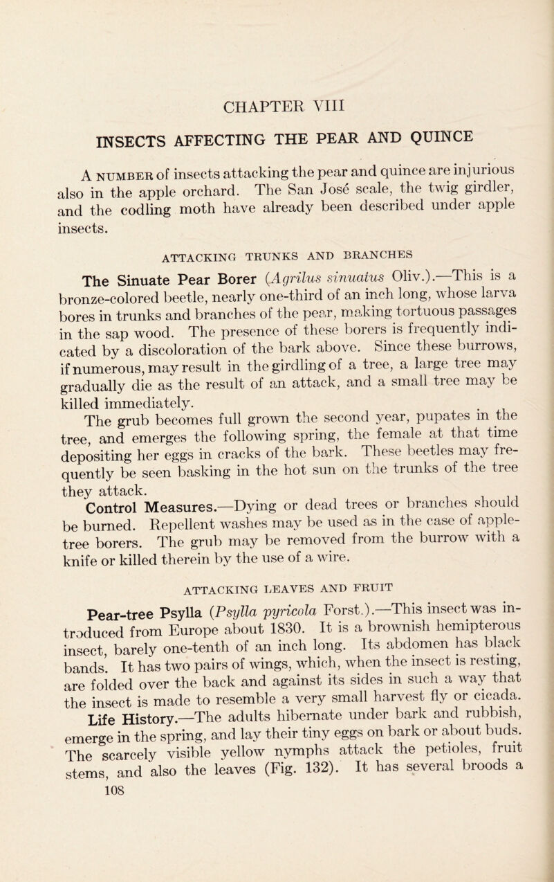 INSECTS AFFECTING THE PEAR AND QUINCE A number of insects attacking the pear and Quince are injurious also in the apple orchard. The San Jose scale, the twig girdler, and the codling moth have already been described under apple insects. ATTACKING TRUNKS AND BRANCHES The Sinuate Pear Borer (Agrilus sinuaius Oliv.).—This is a bronze-colored beetle, nearly one-third of an inch long, whose larva bores in trunks and branches of the pear, making tortuous passages in the sap wood. The presence of these borers is frequently indi- cated by a discoloration of the bark above. Since these burrows, if numerous, may result in the girdling of a tree, a large tree ma) gradually die as the result of an attack, and a small tree may be killed immediately. The grub becomes full grown the second year, pupates m the tree, and emerges the following spring, the female at that time depositing her eggs in cracks of the bark. These beetles may fre- quently be seen basking in the hot sun on the trunks of the tree they attack. Control Measures.—Dying or dead trees or branches should be burned. Repellent washes may be used as in the case of apple- tree borers. The grub may be removed from the burrow with a knife or killed therein by the use of a wire. ATTACKING LEAVES AND FRUIT Pear-tree Psylla (Psylla pyricola Forst.).—This insect was in- troduced from Europe about 1830. It is a brownish hemipterous insect, barely one-tenth of an inch long. Its abdomen has black bands! It has two pairs of wings, which, when the insect is resting, are folded over the back and against its sides in such a way that the insect is made to resemble a very small harvest fly or cicada. Life History.—The adults hibernate under bark and rubbish, emerge in the spring, and lay their tiny eggs on bark or about buds. The scarcely visible yellow nymphs attack the petioles, fruit stems, and also the leaves (Fig. 132). It has several broods a