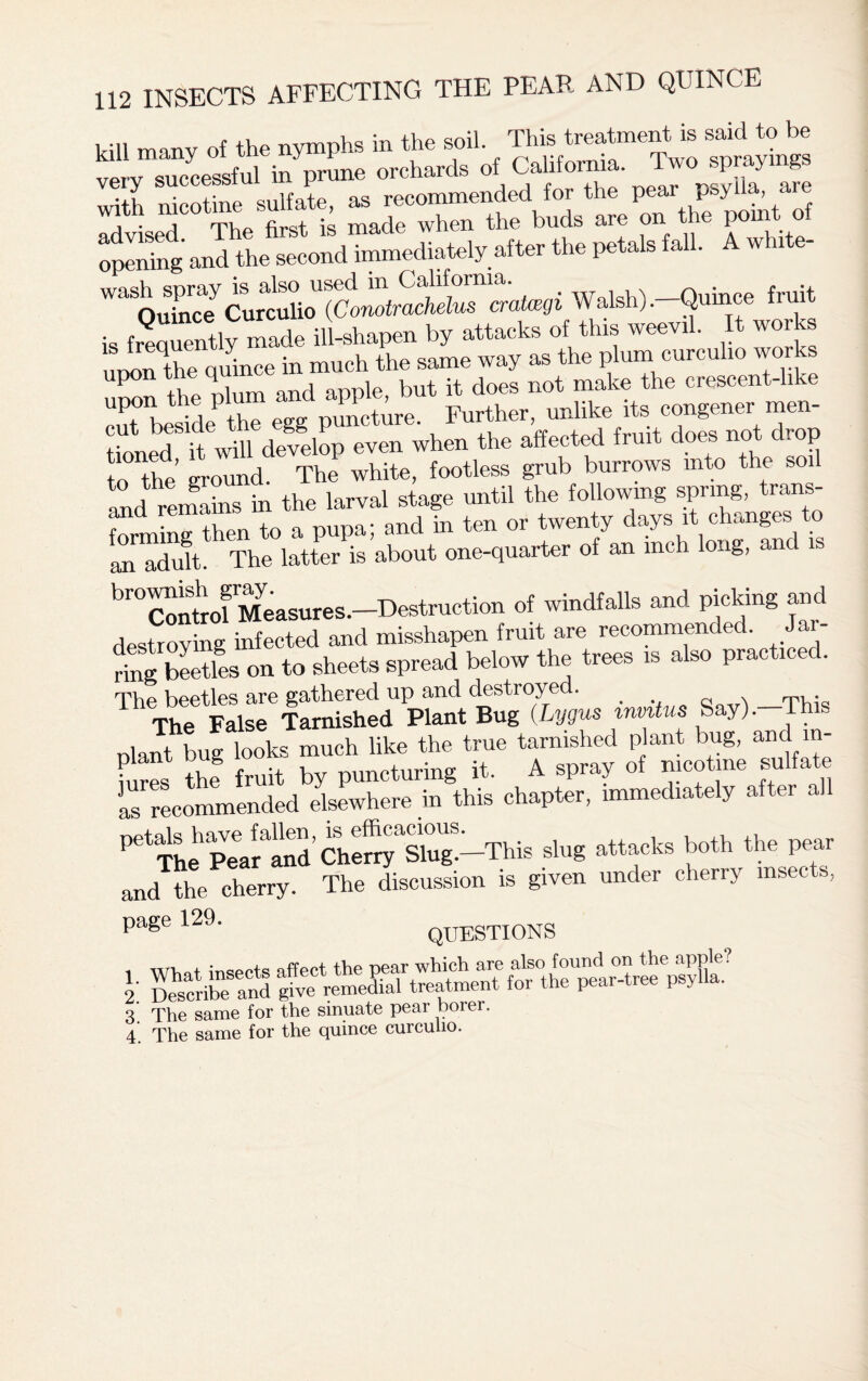 kill many of the nymphs in the soil. This treatment is said to be wrv successful in prune orchards of California. Two sprayings veiy successfuli p ended for the pear psylla, are with mcotme sulfate, ^ ^ the buds are 0n the point of opening and the second immediately after the petals fall. A white- Wai'ouTnce CuSio ^CoZ^atlluTcmmi Walsh) .-Quince fruit is frequently made ill-shapen by attacks of this weevil. It works imon the quince in much the same way as the plum curculio wot s Xn the Plum and apple, but it does not make the crescent-like cut besidePthe egg puncture. Further, unlike its congener men tioned it will develop even when the affected fruit does not drop to the’ ground. The white, footless grub burrows into the soil and remains in the larval stage until the following spring, trans- forming then to a pupa; and in ten or twenty days it changes to an adult. The latter is about one-quarter of an inch long, an br°Control'Measures.—Destruction of windfalls and picking and destroying infected and misshapen fruit are recommended. Jar- ring Ss on to sheets spread below the trees is also practiced. The beetles are gathered up and destroyed. < The False Tarnished Plant Bug (Lygus mmtus Say).—This nlant bug looks much like the true tarnished plant bug, and m- kires the fruit by puncturing it. A spray of nicotine sulfate L recommended Jlsewhere in this chapter, immediately after all ^Se^S’Si£rS-This slug attacks both the pear and the cherry. The discussion is given under cherry insects, page 129. QUESTIONS i 3. The same for the sinuate pear boier. 4. The same for the quince curculio.