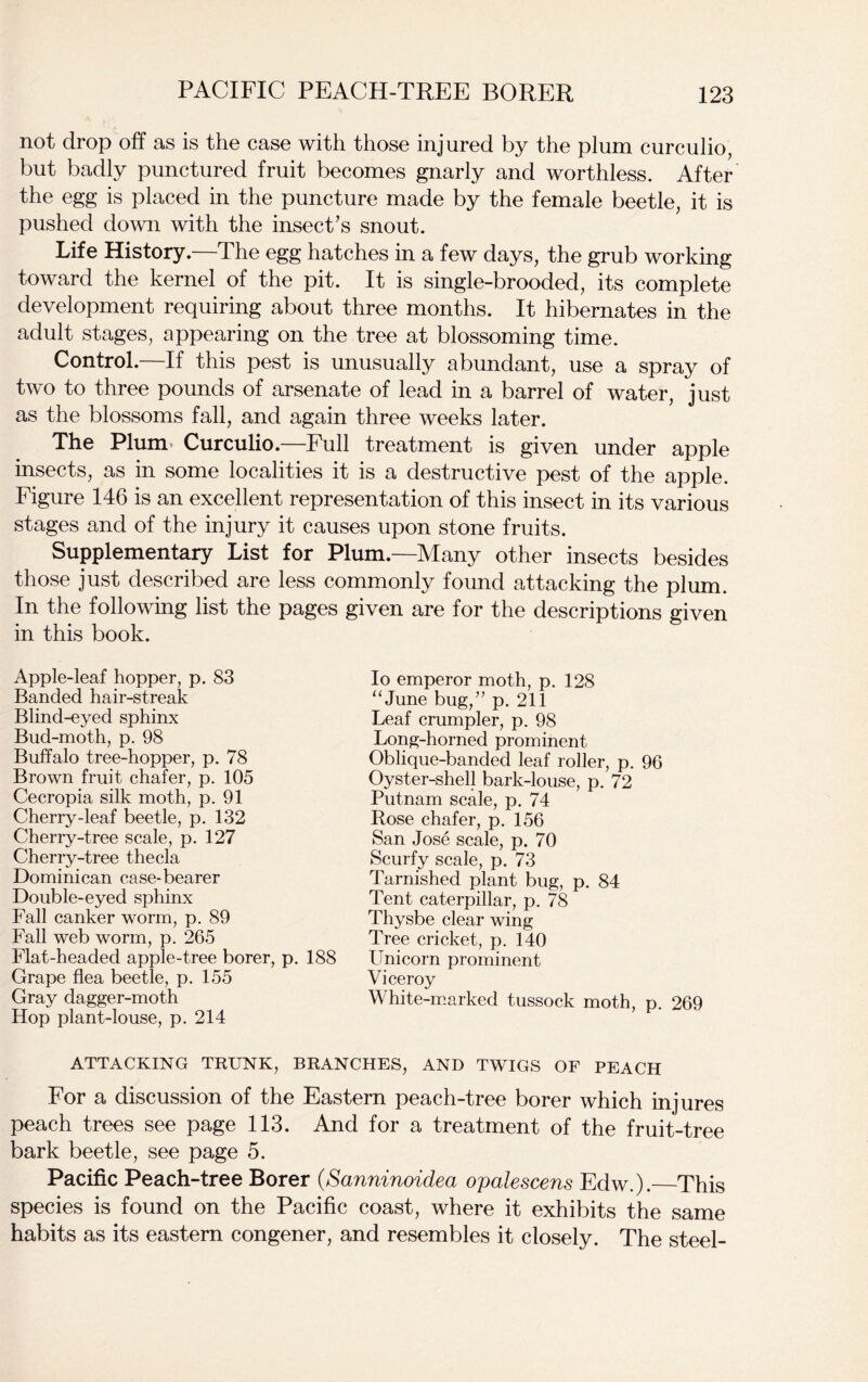 not drop off as is the case with those injured by the plum curculio, but badly punctured fruit becomes gnarly and worthless. After the egg is placed in the puncture made by the female beetle, it is pushed down with the insect's snout. Life History.—The egg hatches in a few days, the grub working toward the kernel of the pit. It is single-brooded, its complete development requiring about three months. It hibernates in the adult stages, appearing on the tree at blossoming time. Control.—If this pest is unusually abundant, use a spray of two to three pounds of arsenate of lead in a barrel of water, just as the blossoms fall, and again three weeks later. The Plum Curculio.—Full treatment is given under apple insects, as in some localities it is a destructive pest of the apple. Figure 146 is an excellent representation of this insect in its various stages and of the injury it causes upon stone fruits. Supplementary List for Plum.—Many other insects besides those just described are less commonly found attacking the plum. In the following list the pages given are for the descriptions given in this book. Apple-leaf hopper, p. 83 Banded hair-streak Blind-eyed sphinx Bud-moth, p. 98 Buffalo tree-hopper, p. 78 Brown fruit chafer, p. 105 Cecropia silk moth, p. 91 Cherry-leaf beetle, p. 132 Cherry-tree scale, p. 127 Cherry-tree thecla Dominican case-bearer Double-eyed sphinx Fall canker worm, p. 89 Fall web worm, p. 265 Flat-headed apple-tree borer, p. 188 Grape flea beetle, p. 155 Gray dagger-moth Hop plant-louse, p. 214 ATTACKING TRUNK, BRANCHES, AND TWIGS OF PEACH For a discussion of the Eastern peach-tree borer which injures peach trees see page 113. And for a treatment of the fruit-tree bark beetle, see page 5. Pacific Peach-tree Borer (Sanninoidea opalescens Edw.). This species is found on the Pacific coast, where it exhibits the same habits as its eastern congener, and resembles it closely. The steel- Io emperor moth, p. 128 “June bug,” p. 211 Leaf crumpler, p. 98 Long-horned prominent Oblique-banded leaf roller, p. 96 Oyster-shell bark-louse, p. 72 Putnam scale, p. 74 Rose chafer, p. 156 San Jose scale, p. 70 Scurfy scale, p. 73 Tarnished plant bug, p. 84 Tent caterpillar, p. 78 Thysbe clear wing Tree cricket, p. 140 Unicorn prominent Viceroy White-marked tussock moth, p. 269