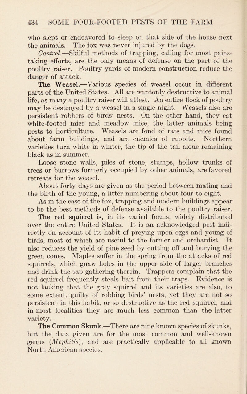 who slept or endeavored to sleep on that side of the house next the animals. The fox was never injured by the dogs. Control.—Skilful methods of trapping, calling for most pains- taking efforts, are the only means of defense on the part of the poultry raiser. Poultry yards of modern construction reduce the danger of attack. The Weasel.—Various species of weasel occur in different parts of the United States. All are wantonly destructive to animal life, as many a poultry raiser will attest. An entire flock of poultry may be destroyed by a weasel in a single night. Weasels also are persistent robbers of birds’ nests. On the other hand, they eat white-footed mice and meadow mice, the latter animals being pests to horticulture. Weasels are fond of rats and mice found about farm buildings, and are enemies of rabbits. Northern varieties turn white in winter, the tip of the tail alone remaining black as in summer. Loose stone walls, piles of stone, stumps, hollow trunks of trees or burrows formerly occupied by other animals, are favored retreats for the weasel. About forty days are given as the period between mating and the birth of the young, a litter numbering about four to eight. As in the case of the fox, trapping and modern buildings appear to be the best methods of defense available to the poultry raiser. The red squirrel is, in its varied forms, widely distributed over the entire United States. It is an acknowledged pest indi- rectly on account of its habit of preying upon eggs and young of birds, most of which are useful to the farmer and orchardist. It also reduces the yield of pine seed by cutting off and burying the green cones. Maples suffer in the spring from the attacks of red squirrels, which gnaw holes in the upper side of larger branches and drink the sap gathering therein. Trappers complain that the red squirrel frequently steals bait from their traps. Evidence is not lacking that the gray squirrel and its varieties are also, to some extent, guilty of robbing birds’ nests, yet they are not so persistent in this habit, or so destructive as the red squirrel, and in most localities they are much less common than the latter variety. The Common Skunk.—There are nine known species of skunks, but the data given are for the most common and well-known genus (Mephitis), and are practically applicable to all known North American species.