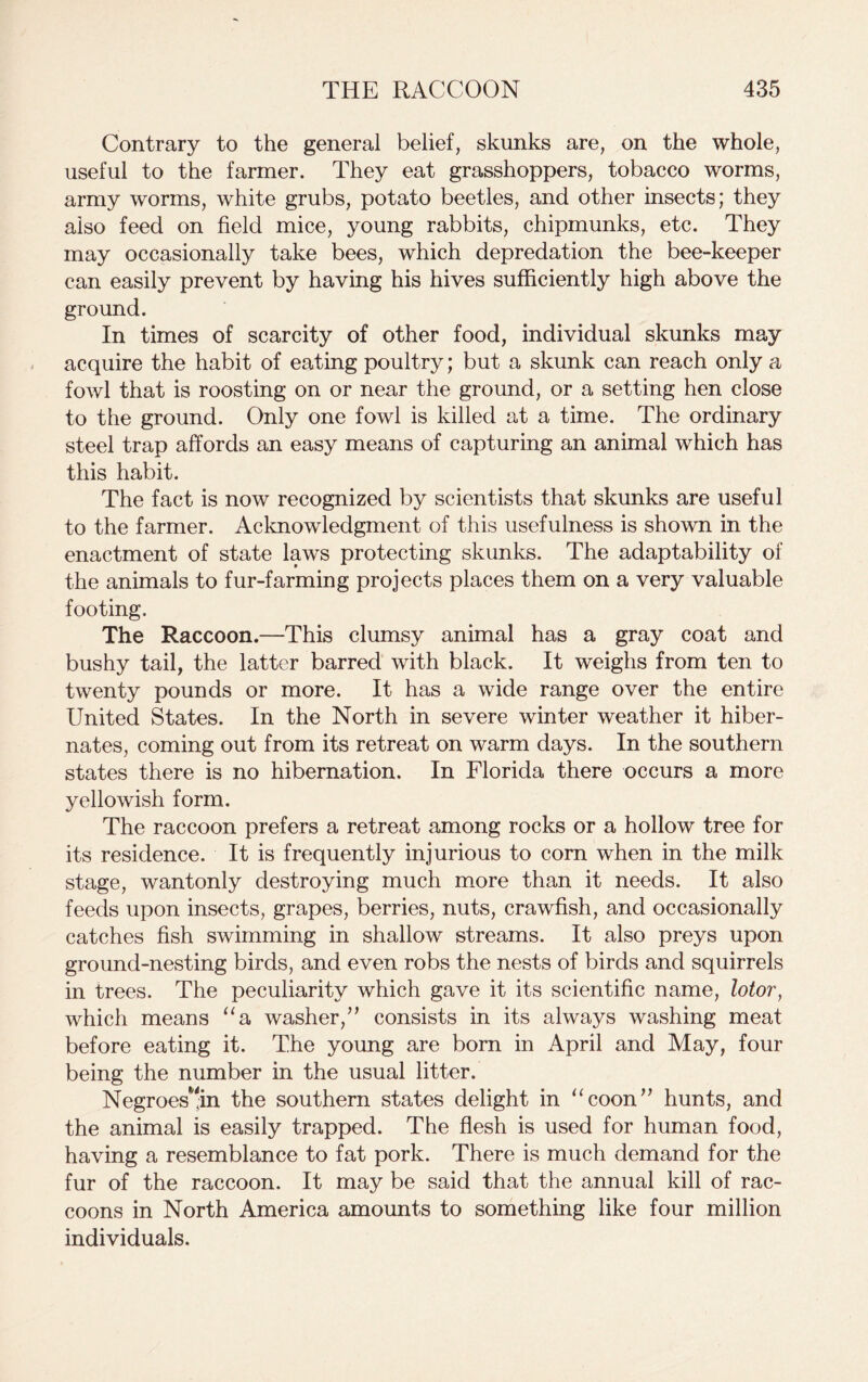 Contrary to the general belief, skunks are, on the whole, useful to the farmer. They eat grasshoppers, tobacco worms, army worms, white grubs, potato beetles, and other insects; they also feed on field mice, young rabbits, chipmunks, etc. They may occasionally take bees, which depredation the bee-keeper can easily prevent by having his hives sufficiently high above the ground. In times of scarcity of other food, individual skunks may acquire the habit of eating poultry; but a skunk can reach only a fowl that is roosting on or near the ground, or a setting hen close to the ground. Only one fowl is killed at a time. The ordinary steel trap affords an easy means of capturing an animal which has this habit. The fact is now recognized by scientists that skunks are useful to the farmer. Acknowledgment of this usefulness is shown in the enactment of state laws protecting skunks. The adaptability of the animals to fur-farming projects places them on a very valuable footing. The Raccoon.—This clumsy animal has a gray coat and bushy tail, the latter barred with black. It weighs from ten to twenty pounds or more. It has a wide range over the entire United States. In the North in severe winter weather it hiber- nates, coming out from its retreat on warm days. In the southern states there is no hibernation. In Florida there occurs a more yellowish form. The raccoon prefers a retreat among rocks or a hollow tree for its residence. It is frequently injurious to corn when in the milk stage, wantonly destroying much more than it needs. It also feeds upon insects, grapes, berries, nuts, crawfish, and occasionally catches fish swimming in shallow streams. It also preys upon ground-nesting birds, and even robs the nests of birds and squirrels in trees. The peculiarity which gave it its scientific name, lotor, which means “a washer/’ consists in its always washing meat before eating it. The young are born in April and May, four being the number in the usual litter. Negroes^in the southern states delight in “coon” hunts, and the animal is easily trapped. The flesh is used for human food, having a resemblance to fat pork. There is much demand for the fur of the raccoon. It may be said that the annual kill of rac- coons in North America amounts to something like four million individuals.