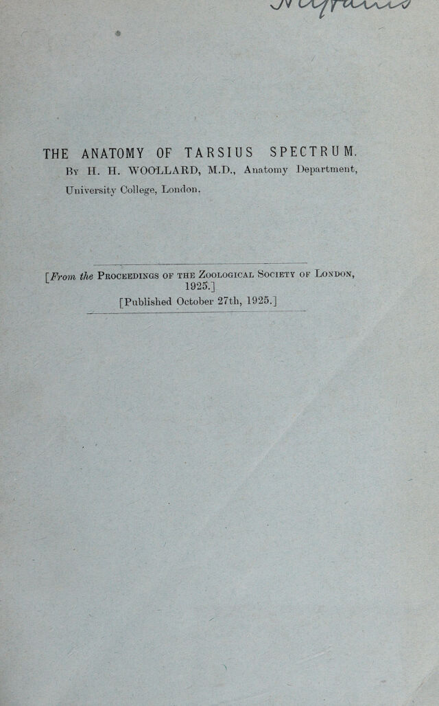 digitised image 1
