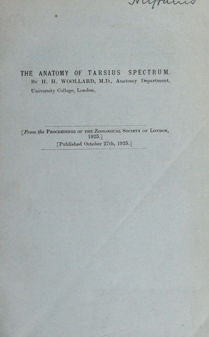 * v/V THE ANATOMY OF TARSIUS SPECTRUM. By H. H. WOOLLARD, M.D., Anatomy Department, University College, London. rFrom the Proceedings of the Zoological Society of London, 1925.] [Published October 27th, 1925.]