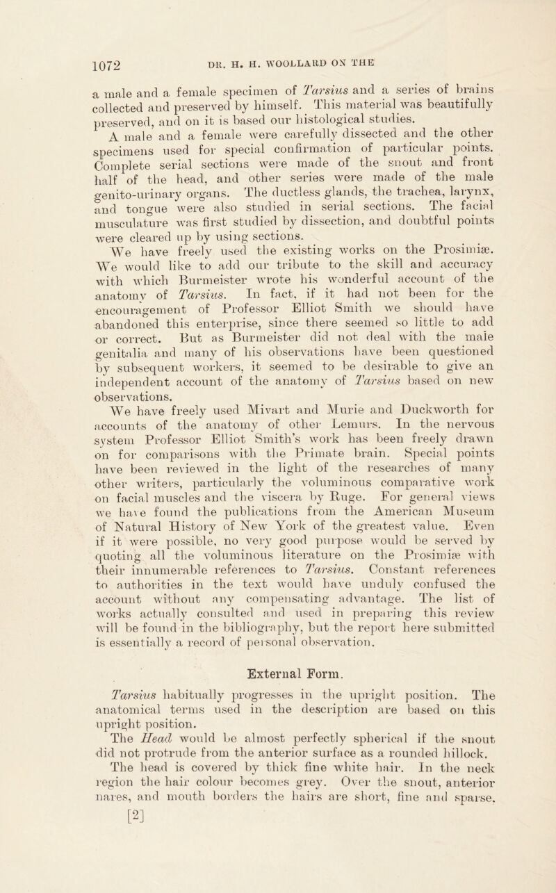 <i male and a female specimen of 1 arsius and a series of biairs collected and preserved by himself. This material was beautifully preserved, and on it is based our histological studies. A male and a female were carefully dissected and the other specimens used for special confirmation of paiticulai points. Complete serial sections were made of the snout and front half of the head, and other series were made of the male genito-urinary organs. The ductless glands, the trachea, larynx, and tongue were also studied in serial sections. The faciei musculature was first studied by dissection, and doubtful points were cleared up by using sections. We have freely used the existing works on the Prosimise. We would like to add our tribute to the skill and accuracy with which Burmeister wrote his wonderful account of the anatomy of Tarsius. In fact, if it had not been for the •encouragement of Professor Elliot Smith we should have abandoned this enterprise, since there seemed so little to add or correct. But as Burmeister did not deal with the male genitalia and many of his observations have been questioned by subsequent workers, it seemed to be desirable to give an independent account of the anatomy of Tarsius based on new observations. We have freelv used Mivart and Murie and Duckworth for accounts of the anatomy of other Lemurs. In the nervous system Professor Elliot Smith’s work has been freely drawn on for comparisons with the Primate brain. Special points have been reviewed in the light of the researches of many other writers, particularly the voluminous comparative work on facial muscles and the viscera by Huge. For general views we have found the publications from the American Museum of Natural History of New York of the greatest value. Even if it were possible, no very good purpose would be served by quoting all the voluminous literature on the Prosimias with their innumerable references to Tarsius. Constant references to authorities in the text would have unduly confused the account without any compensating advantage. The list of works actually consulted and used in preparing this review will be found in the bibliography, but the report here submitted is essentially a record of personal observation. External Form. Tarsius habitually progresses in the upright position. The anatomical terms used in the description are based on this upright position. The Head would be almost perfectly spherical if the snout did not protrude from the anterior surface as a rounded hillock. The head is covered by thick fine white hair. In the neck region the hair colour becomes grey. Over the snout, anterior nares, and mouth borders the hairs are short, fine and sparse. [2]