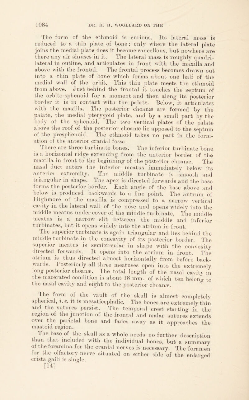 The form of the ethmoid is curious. Its lateral mass is reduced to a thin plate of bone ; only where the lateral plate joins the medial plate does it become cancellous, but nowhere are there any air sinuses in it. The lateral mass is roughly quadri- lateral in outline, and articulates in front with the maxilla and above with the frontal. The frontal process becomes drawn out into a thin plate of bone which forms about one half of the medial wall of the orbit. This thin plate meets the ethmoid from above. Just behind the frontal it touches the septum of the orbito-sphenoid for a moment and then along its posterior border it is in contact with the palate. Below, it articulates with the maxilla. The posterior choanae are formed by the palate, the medial pterygoid plate, and by a small part by the body of the sphenoid. The two vertical plates of the palate above the roof of the posterior choanae lie apposed to the septum of the presphenoid. The ethmoid takes no part in the form- ation of the anterior cranial fossa. I here are three turbinate bones. The inferior turbinate bone is a horizontal ridge extending from the anterior border of the maxilla in front to the beginning of the posterior choanaj. The nasal duct enters the inferior meatus immediately below its anterior extremity. The middle turbinate is smooth and triangular in shape. The apex is directed forwards and the base forms the posterior border. Each angle of the base above and below is produced backwards to a fine point. The antrum of Highmore of the maxilla is compressed to a narrow vertical cavity in the lateral wall of the nose and opens widely into the middle meatus under cover of the middle turbinate. The middle meatus is a narrow slit between the middle and inferior turbinates, but it opens widely into the atrium in front. The superior turbinate is again triangular and lies behind the middle turbinate in the concavity of its posterior border. The supeiior meatus is semicircular in shape with the convexity directed forwards. It opens into the atrium in front. The atrium is thus directed almost horizontally from before back- wards. Posteriorly all three meatuses open into the extremely long posterior choanae. The total length of the nasal cavity in the macerated condition is about 18 mm., of which ten belono- to the nasal cavity and eight to the posterior choanae. I he foim of the vault of the skull is almost completely spherical, i.e. it is mesaticephalic. The bones are extremely thin and the sutures persist. The temporal crest starting in the region of the junction ol the frontal and malar sutures extends over the parietal bone and fades away as it approaches the mastoid region. The base of the skull as a whole needs no further description than that included with the individual bones, but a summary of the foramina for the cranial nerves is necessary. The foramen for the olfactory nerve situated on either side of the enlarged crista galli is single. b