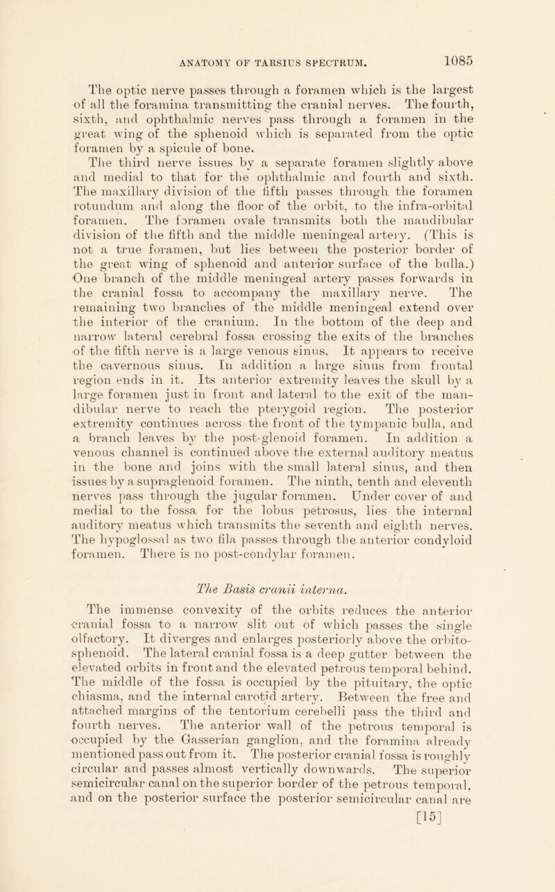 The optic nerve passes through a foramen which is the largest of all the foramina transmitting the cranial nerves. The fourth, sixth, and ophthalmic nerves pass through a foramen in the great wing of the sphenoid which is separated from the optic foramen by a spicule of bone. The third nerve issues by a separate foramen slightly above and medial to that for the ophthalmic and fourth and sixth. The maxillary division of the fifth passes through the foramen rotundum and along the floor of the orbit, to the infra-orbital foramen. The foramen ovale transmits both the mandibular division of the fifth and the middle meningeal artery. (This is not a true foramen, but lies between the posterior border of the great wing of sphenoid and anterior surface of the bulla.) One branch of the middle meningeal artery passes forwards in the cranial fossa to accompany the maxillary nerve. The remaining two branches of the middle meningeal extend over the interior of the cranium. In the bottom of the deep and narrow lateral cerebral fossa crossing the exits of the branches of the fifth nerve is a large venous sinus. It appears to receive the cavernous sinus. In addition a large sinus from frontal region ends in it. Its anterior extremity leaves the skull by a large foramen just in front and lateral to the exit of the man- dibular nerve to reach the pterygoid region. The posterior extremity continues across the front of the tympanic bulla, and a branch leaves by the post-glenoid foramen. In addition a venous channel is continued above the external auditory meatus in the bone and joins with the small lateral sinus, and then issues by a supraglenoid foramen. The ninth, tenth and eleventh nerves pass through the jugular foramen. Under cover of and medial to the fossa for the lobus petrosus, lies the internal auditory meatus which transmits the seventh and eighth nerves. The hypoglossal as two fila passes through the anterior condyloid foramen. There is no post-condylar foramen. The Basis cranii interna. The immense convexity of the orbits reduces the anterior cranial fossa to a narrow slit out of which passes the single olfactory. It diverges and enlarges posteriorly above the orbito- sphenoid. The lateral cranial fossa is a deep gutter between the elevated orbits in front and the elevated petrous temporal behind. The middle of the fossa is occupied by the pituitary, the optic chiasma, and the internal carotid artery. Between the free and attached margins of the tentorium cerebelli pass the third and fourth nerves. The anterior wall of the petrous temporal is occupied by the Gasserian ganglion, and the foramina already mentioned pass out from it. The posterior cranial fossa is roughly circular and passes almost vertically downwards. The superior semicircular canal on the superior border of the petrous temporal, and on the posterior surface the posterior semicircular caual are [15]
