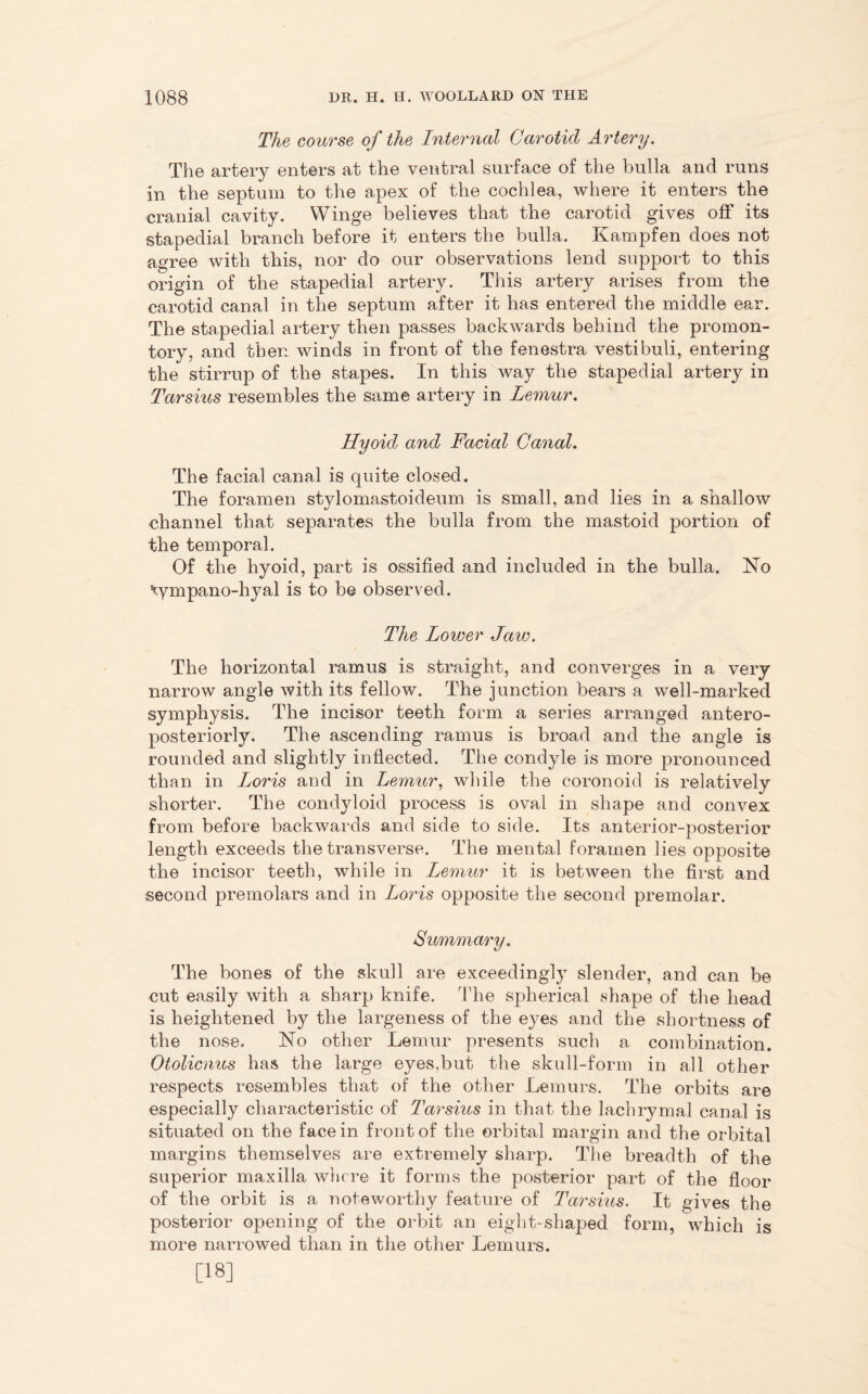 The course of the Internal Carotid Artery. The artery enters at the ventral surface of the bulla and runs in the septum to the apex of the cochlea, where it enters the cranial cavity. Winge believes that the carotid gives off its stapedial branch before it enters the bulla. Kampfen does not agree with this, nor do our observations lend support to this origin of the stapedial artery. This artery arises from the carotid canal in the septum after it has entered the middle ear. The stapedial artery then passes backwards behind the promon- tory, and then winds in front of the fenestra vestibuli, entering the stirrup of the stapes. In this way the stapedial artery in Tarsius resembles the same artery in Lemur. Hyoid and Facial Canal. The facial canal is quite closed. The foramen stylomastoideum is small, and lies in a shallow channel that separates the bulla from the mastoid portion of the temporal. Of the hyoid, part is ossified and included in the bulla. No vympano-hyal is to be observed. The Lower Jaw. The horizontal ramus is straight, and converges in a very narrow angle with its fellow. The junction bears a well-marked symphysis. The incisor teeth form a series arranged antero- posteriorly. The ascending ramus is broad and the angle is rounded and slightly inflected. The condyle is more pronounced than in Ijoris and in Lemur, while the coronoid is relatively shorter. The condyloid process is oval in shape and convex from before backwards and side to side. Its anterior-posterior length exceeds the transverse. The mental foramen lies opposite the incisor teeth, while in Lemur it is between the first and second premolars and in Loris opposite the second premolar. Summary. The bones of the skull are exceedingly slender, and can be cut easily with a sharp knife. The spherical shape of the head is heightened by the largeness of the eyes and the shortness of the nose. No other Lemur presents such a combination. Otolicnus has the large eyes.but the skull-form in all other respects resembles that of the other Lemurs. The orbits are especially characteristic of Tarsius in that the lachrymal canal is situated on the face in front of the orbital margin and the orbital margins themselves are extremely sharp. The breadth of the superior maxilla where it forms the posterior part of the floor of the orbit is a noteworthy feature of Tarsius. It gives the posterior opening of the orbit an eight-shaped form, which is more narrowed than in the other Lemurs. [18]