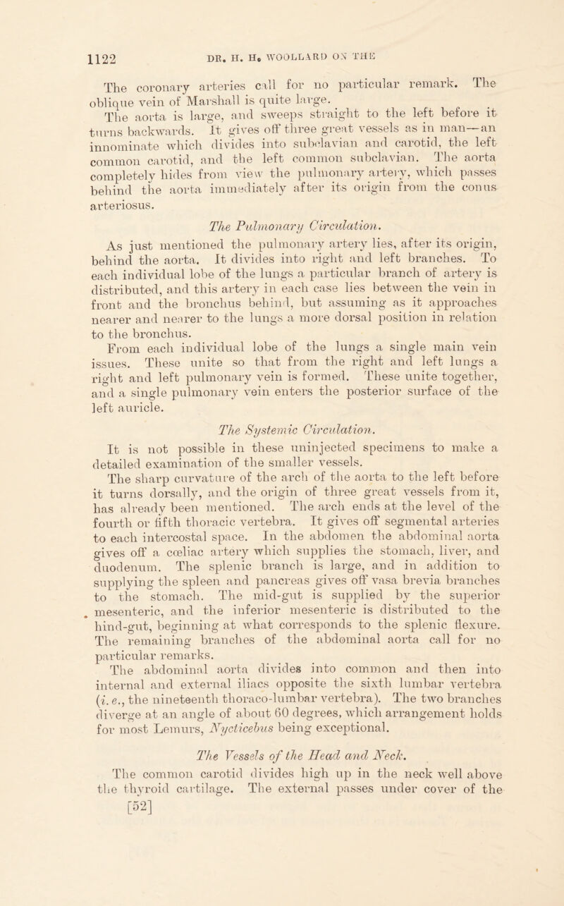 The coronary arteries call for no particular remark. The oblique vein of Marshall is quite large. _ The aorta is large, and sweeps straight to the left before it turns backwards. It gives oft three great vessels as in man—an innominate which divides into subclavian and carotid, the left common carotid, and the left common subclavian. The aorta completely hides from view the pulmonary artery, which passes behind the aorta immediately after its origin from the conus arteriosus. The Pulmonary Circulation. As just mentioned the pulmonary artery lies, after its origin, behind the aorta. It divides into right and left branches. To each individual lobe of the lungs a particular branch of artery is distributed, and this artery in each case lies between the vein in front and the bronchus behind, but assuming as it approaches nearer and nearer to the lungs a more dorsal position in relation to the bronchus. From each individual lobe of the lungs a single main vein issues. These unite so that from the right and left lungs a right and left pulmonary vein is formed. These unite together, and a single pulmonary vein enters the posterior surface of the left auricle. The Systemic Circulation. It is not possible in these uninjected specimens to make a detailed examination of the smaller vessels. The sharp curvature of the arch of the aorta to the left before it turns dorsally, and the origin of three great vessels from it, has already been mentioned. The arch ends at the level of the fourth or fifth thoracic vertebra. It gives off segmental arteries to each intercostal space. In the abdomen the abdominal aorta gives off a coeliac artery which supplies the stomach, liver, and duodenum. The splenic branch is large, and in addition to supplying the spleen and pancreas gives off vasa brevia branches to the stomach. The mid-gut is supplied by the superior mesenteric, and the inferior mesenteric is distributed to the hind-gut, beginning at what corresponds to the splenic flexure. The remaining branches of the abdominal aorta call for no particular remarks. The abdominal aorta divides into common and then into internal and external iliacs opposite the sixth lumbar vertebra (i. e., the nineteenth thoraco-lumbar vertebra). The two branches diverge at an angle of about 60 degrees, which arrangement holds for most Lemurs, Nycticehus being exceptional. The Vessels of the Head and Heck. The common carotid divides high up in the neck well above the thyroid cartilage. The external passes under cover of the [52]