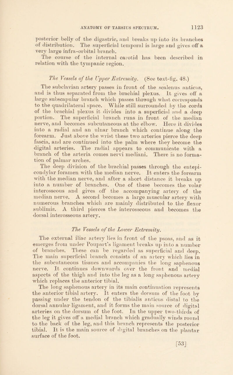 posterior belly of the digastric, and breaks up into its branches of distribution. The superficial temporal is large and gives off a very large infra-orbital branch. The course of the internal carotid has been described in relation with the tympanic region. The Vessels of the Upper Extremity. (See text-fig. 48.) The subclavian artery passes in front of the scalenus anticus, and is thus separated from the brachial plexus. It gives off a large subscapular branch which passes through what corresponds to the quadrilateral space. While still surrounded by the cords of the brachial plexus it divides into a superficial and a deep portion. The superficial branch runs in front of the median nerve, and becomes subcutaneous at the elbow. Here it divides into a radial and an ulnar branch which continue along the forearm. Just above the wrist these two arteries pierce the deep fascia, and are continued into the palm where they become the digital arteries. The radial appears to communicate with a branch of the arteria comes nervi mediani. There is no forma- tion of palmar arches. The deep division of the brachial passes through the entepi- condylar foramen with the median nerve. It enters the forearm with the median nerve, and after a short distance it breaks up into a number of branches. One of these becomes the volar interosseous and gives off the accompanying artery of the median nerve. A second becomes a large muscular artery with numerous branches which are mainly distributed to the flexor sublimis. A third pierces the interosseous and becomes the dorsal interosseous artery. The Vessels of the Lower Extremity. The external iliac artery lies in front of the psoas, and as it emerges from under Poupart’s ligament breaks up into a number of branches. These can be regarded as superficial and deep. The main superficial branch consists of an artery which lies in the subcutaneous tissues and accompanies the long saphenous nerve. It continues downwards over the front and medial aspects of the thigh and into the leg as a long saphenous artery which replaces the anterior tibial. The long saphenous artery in its main continuation represents the anterior tibial artery. It enters the dorsum of the foot by passing under the tendon of the tibialis anticus distal to the dorsal annular ligament, and it forms the main source of digital arteries on the dorsum of the foot. In the upper two-thirds of the leg it gives off a medial branch which gradually winds round to the back of the leg, and this branch represents the posterior tibial. It is the main source of digital branches on the plantar surface of the foot. [53]