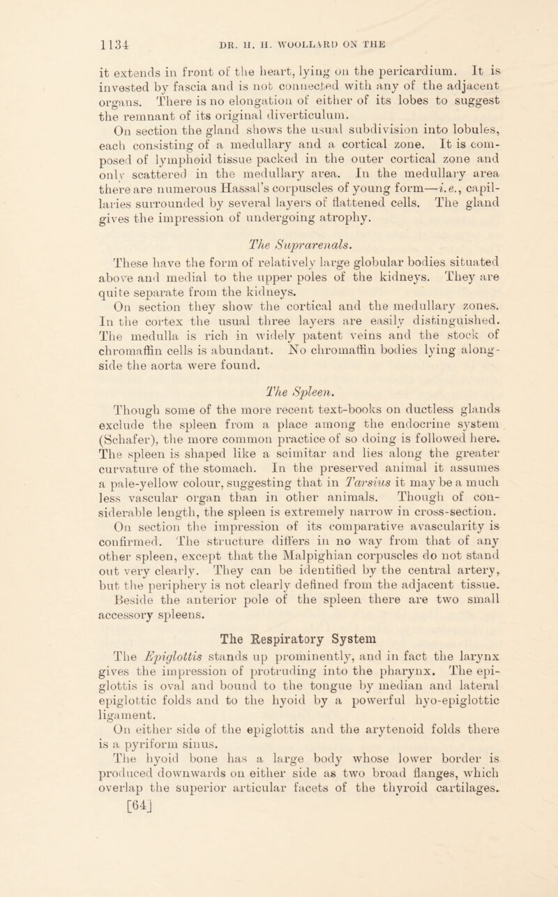 it extends in front of the heart, lying on the pericardium. It is invested by fascia and is nob connected with any of the adjacent organs. There is no elongation of either of its lobes to suggest the remnant of its original diverticulum. On section the gland shows the usual subdivision into lobules, each consisting of a medullary and a cortical zone. It is com- posed of lymphoid tissue packed in the outer cortical zone and onlv' scattered in the medullary area. In the medullary area there are numerous Hassal’s corpuscles of young form—i.e., capil- laries surrounded by several layers of flattened cells. The gland gives the impression of undergoing atrophy. The Suprarenals. These have the form of relatively large globular bodies situated above and medial to the upper poles of the kidneys. They are quite separate from the kidneys. On section they show the cortical and the medullary zones. In the cortex the usual three layers are easily distinguished. The medulla is rich in widely patent veins and the stock of chromaffin cells is abundant. ISTo chromaffin bodies lying along- side the aorta were found. The Spleen. Though some of the more recent text-books on ductless glands exclude the spleen from a place among the endocrine system (Schafer), the more common practice of so doing is followed here.. The spleen is shaped like a scimitar and lies along the greater curvature of the stomach. In the preserved animal it assumes a pale-yellow colour, suggesting that in Tctrsius it may be a much less vascular organ than in other animals. Though of con- siderable length, the spleen is extremely narrow in cross-section. On section the impression of its comparative avascularity is confirmed. The structure differs in no way from that of any other spleen, except that the Malpighian corpuscles do not stand out very clearly. They can be identified by the central artery,, but the periphery is not clearly defined from the adjacent tissue. Beside the anterior pole of the spleen there are two small accessory spleens. The Respiratory System The Epiglottis stands up prominently, and in fact the larynx gives the impression of protruding into the pharynx. The epi- glottis is oval and bound to the tongue by median and lateral epiglottic folds and to the hyoid by a powerful hyo-epiglottic ligament. On either side of the epiglottis and the arytenoid folds there is a pyriform sinus. The hyoid bone has a large body whose lower border is produced downwards on either side as two broad flanges, which overlap the superior articular facets of the thyroid cartilages.. [64j
