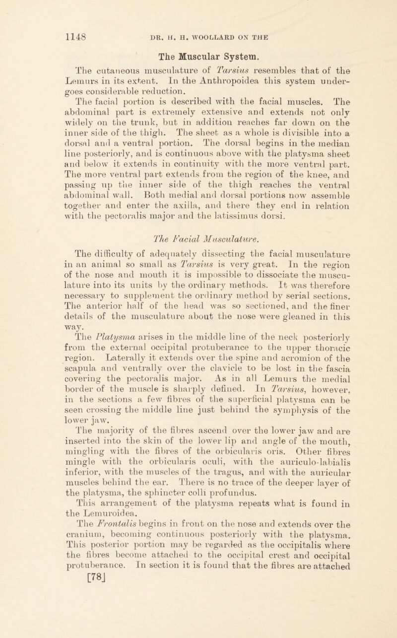 The Muscular System. The cutaneous musculature of Tarsius resembles that of the Lemurs in its extent. In the Anthropoidea this system under- goes considerable reduction. The facial portion is described with the facial muscles. The abdominal part is extremely extensive and extends not only widely on the trunk, but in addition reaches far down on the inner side of the thigh. The sheet as a whole is divisible into a dorsal and a ventral portion. The dorsal begins in the median line posteriorly, and is continuous above with the platysma sheet and below it extends in continuity with the more ventral part. The more ventral part extends from the region of the knee, and passing up the inner side of the thigh reaches the ventral abdominal wall. Both medial and dorsal portions now assemble together and enter the axilla, and there they end in relation with the pectoralis major and the latissimus dorsi. The Facial Musculature. The difficulty of adequately dissecting the facial musculature in an animal so small as Tarsius is very great. In the region of the nose and mouth it is impossible to dissociate the muscu- lature into its units by the ordinary methods. It was therefore necessary to supplement the ordinary method by serial sections. The anterior half of the head was so sectioned, and the finer details of the musculature about the nose were gleaned in this way. The Platysma arises in the middle line of the neck posteriorly from the external occipital protuberance to the upper thoracic region. Laterally it extends over the spine and acromion of the scapula and ventrally over the clavicle to be lost in the fascia covering the pectoralis major. As in all Lemurs the medial border of the muscle is sharply defined. In Tarsius, however, in the sections a few fibres of the superficial platysma can be seen crossing the middle line just behind the symphysis of the lower jaw. The majority of the fibres ascend over the lower jaw and are inserted into the skin of the lower lip and angle of the mouth, mingling with the fibres of the orbicularis oris. Other fibres mingle with the orbicularis oculi, with the auriculo-labialis inferior, with the muscles of the tragus, and with the auricular muscles behind the ear. There is no trace of the deeper layer of the platysma, the sphincter colli profundus. This arrangement of the platysma repeats what is found in the Lemuroidea. The Frontalis begins, in front on the nose and extends over the cranium, becoming continuous posteriorly with the platysma. This posterior portion may be regarded as the occipitalis where the fibres become attached to the occipital crest and occipital protuberance. In section it is found that the fibres are attached [78J