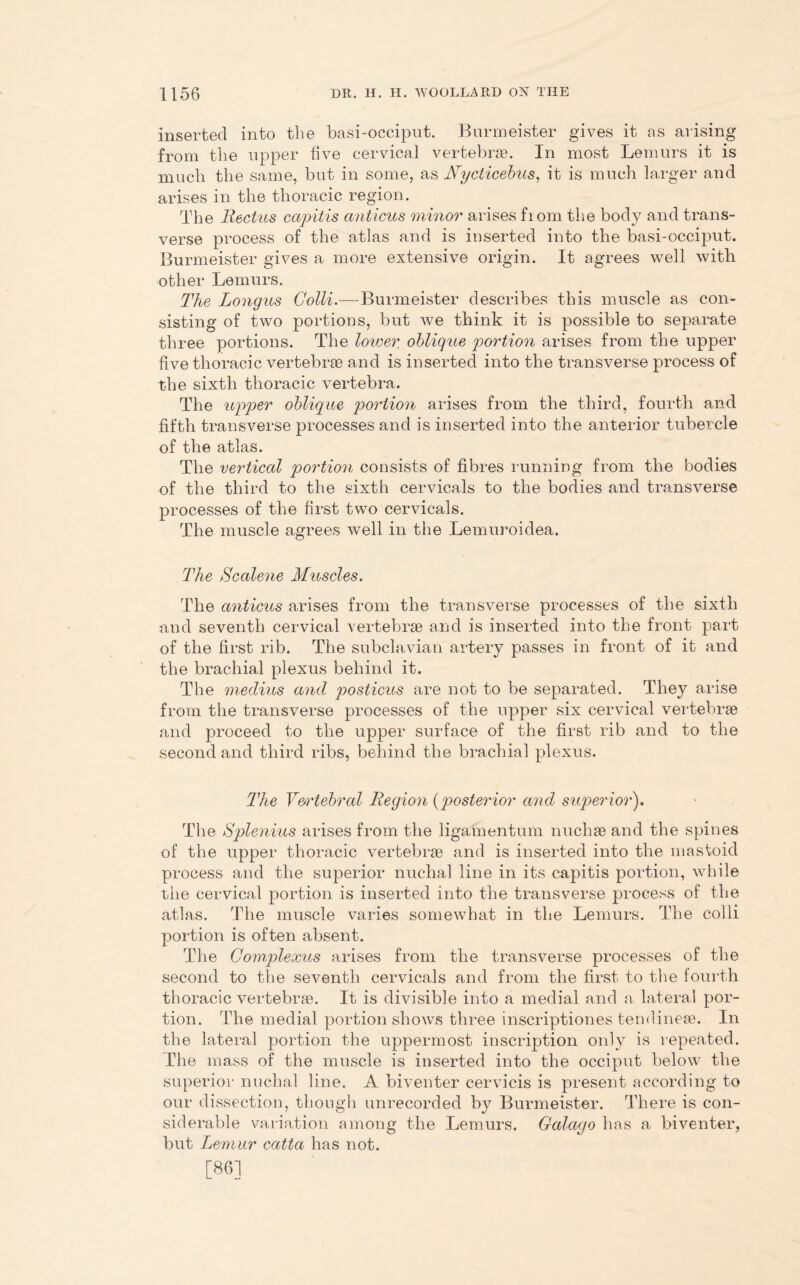 inserted into the basi-occiput. Burmeister gives it as arising from the upper five cervical vertebrae. In most Lemurs it is much the same, but in some, as Nycticebus, it is much larger and arises in the thoracic region. The llectus capitis anticus minor arises fiom the body and trans- verse process of the atlas and is inserted into the basi-occiput. Burmeister gives a more extensive origin. It agrees well with other Lemurs. The Longus Colli.—Burmeister describes this muscle as con- sisting of two portions, but we think it is possible to separate three portions. The lower oblique portion arises from the upper five thoracic vertebrae and is inserted into the transverse process of the sixth thoracic vertebra. The upper oblique portion arises from the third, fourth and fifth transverse processes and is inserted into the anterior tubercle of the atlas. The vertical portion consists of fibres running from the bodies of the third to the sixth cervicals to the bodies and transverse processes of the first two cervicals. The muscle agrees well in the Lemuroidea. The Scalene Muscles. The anticus arises from the transverse processes of the sixth and seventh cervical vertebrae and is inserted into the front part of the first rib. The subclavian artery passes in front of it and the brachial plexus behind it. The meclius and posticus are not to be separated. They arise from the transverse processes of the upper six cervical vertebrae and proceed to the upper surface of the first rib and to the second and third ribs, behind the brachial plexus. The Vertebral Region (posterior and superior). The Splenius arises from the ligamentum nucliae and the spines of the upper thoracic vertebrae and is inserted into the mastoid process and the superior nuchal line in its capitis portion, while the cervical portion is inserted into the transverse process of the atlas. The muscle varies somewhat in the Lemurs. The colli portion is often absent. The Complexus arises from the transverse processes of the second to the seventh cervicals and from the first to the fourth thoracic vertebrae. It is divisible into a medial and a lateral por- tion. The medial portion shows three inscriptiones tendineae. In the lateral portion the uppermost inscription only is repeated. The mass of the muscle is inserted into the occiput below the superior nuchal line. A biventer cervicis is present according to our dissection, though unrecorded by Burmeister. There is con- siderable variation among the Lemurs. Gcdago has a biventer, but Lemur catta has not. [86]