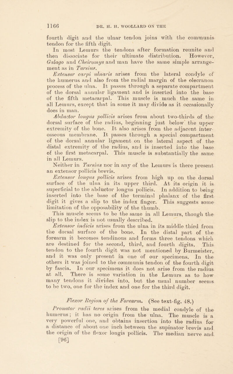 fourth digit and the ulnar tendon joins with the communis tendon for the fifth digit. In most Lemurs the tendons after formation reunite and then dissociate for their ultimate distribution. However, Galago and Cheiromys and man have the same simple arrange- ment as in Tarsiios. Extensor carpi ulnaHs arises from the lateral condyle of the humerus and also from the radial margin of the olecranon process of the ulna. It passes through a separate compartment of the dorsal annular ligament and is inserted into the base of the fifth metacarpal. This muscle is much the same in all Lemurs, except that in some it may divide as it occasionally does in man. Abductor longios pollicis arises from about two-thirds of the dorsal surface of the radius, beginning just below the upper extremity of the bone. It also arises from the adjacent inter- osseous membrane. It passes through a special compartment of the dorsal annular ligament on the lateral aspect of the distal extremity of the radius, and is inserted into the base of the first metacarpal. This muscle is substantially the same in all Lemurs. Neither in Tarsius nor in any of the Lemurs is there present an extensor pollicis brevis. Extensor long us 'pollicis arises from high up on the dorsal surface of the ulna in its upper third. At its origin it is superficial to the abductor longus pollicis. In addition to being inserted into the base of the terminal phalanx of the first digit it gives a slip to the index finger. This suggests some limitation of the opposability of the thumb. This muscle seems to be the same in all Lemurs, though the slip to the index is not usually described. Extensor indicis arises from the ulna in its middle third from the dorsal surface of the bone. In the distal part of the forearm it becomes tendinous and forms three tendons which are destined for the second, third, and fourth digits. This tendon to the fourth digit was not mentioned by Burmeister, and it was only present in one of our specimens. In the others it was joined to the communis tendon of the fourth digit by fascia. In our specimens it does not arise from the radius at all. There is some variation in the Lemurs as to how many tendons it divides into, but the usual number seems to be two, one for the index and one for the third digit. Flexor Region of the Forearm. (See text-fig. 48.) Pronator radii teres arises from the medial condyle of the humerus ; it has no origin from the ulna. The muscle is a very powerful one, and obtains insertion into the radius for a distance of about one inch between the supinator brevis and the origin of the flexor longis pollicis. The median nerve and [96]