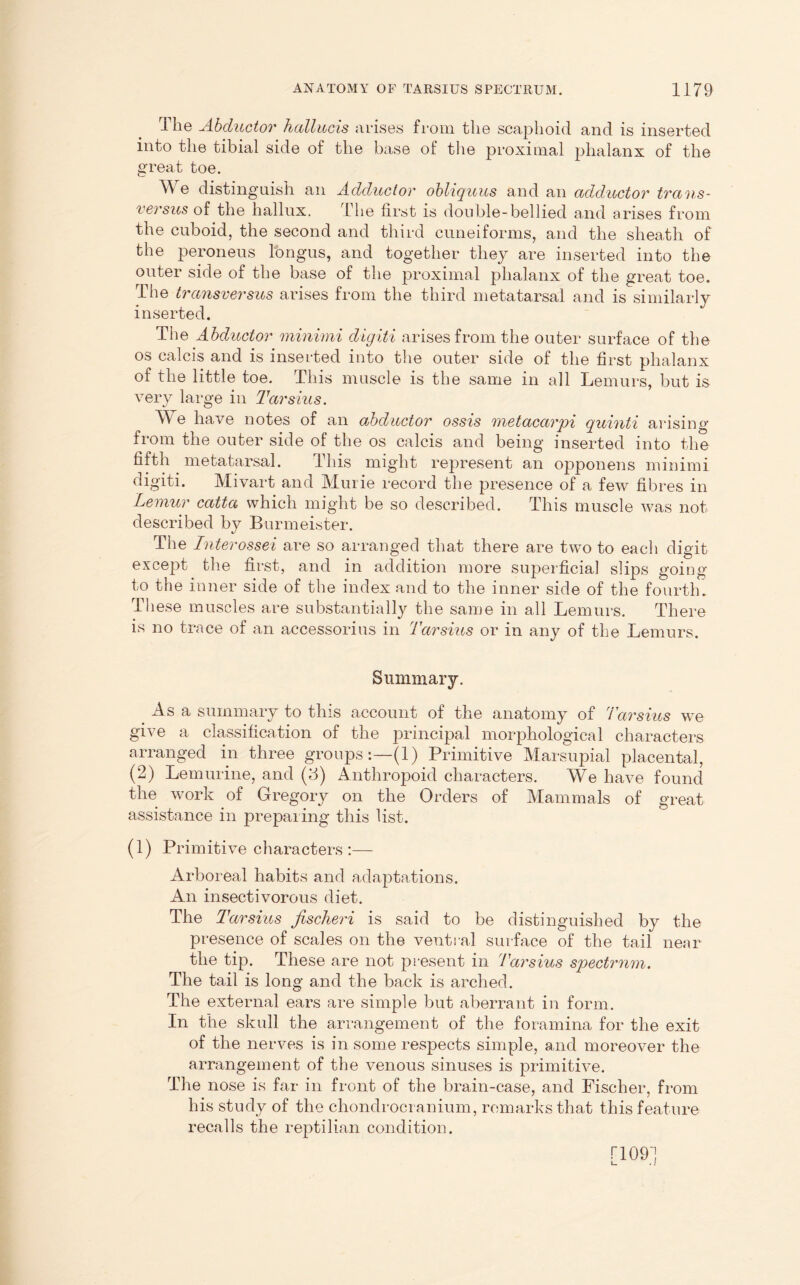 The Abductor hallucis arises from the scaphoid and is inserted into the tibial side of the base of the proximal phalanx of the great toe. We distinguish an Adductor obliquus and an adductor trans- versus of the hallux. Lhe first is double-bellied and arises from the cuboid, the second and third cuneiforms, and the sheath of the peroneus longus, and together they are inserted into the outer side of the base of the proximal phalanx of the great toe. The transversus arises from the third metatarsal and is similarly inserted. The Abductor minimi digiti arises from the outer surface of the os calcis and is inserted into the outer side of the first phalanx of the little toe. This muscle is the same in all Lemurs, but is very large in Tarsius. We have notes of an abductor ossis metacarpi quinti arising from the outer side of the os calcis and being inserted into the fifth metatarsal. This might represent an opponens minimi digiti. Mivart and Murie record the presence of a few fibres in Lemur catta which might be so described. This muscle was not described by Burmeister. The Interossei are so arranged that there are two to each digit except the first, and in addition more superficial slips going to the inner side of the index and to the inner side of the fourth. These muscles are substantially the same in all Lemurs. There is no trace of an accessorius in Tarsius or in any of the Lemurs. Summary. As a summary to this account of the anatomy of Tarsius we give a classification of the principal morphological characters arranged in three groups:—(1) Primitive Marsupial placental, (2) Lemurine, and (3) Anthropoid characters. We have found the work of Gregory on the Orders of Mammals of great assistance in preparing this list. (1) Primitive characters:— Arboreal habits and adaptations. An insectivorous diet. The Tarsius jischeri is said to be distinguished by the presence of scales on the ventral surface of the tail near the tip. These are not present in 'Tarsius spectrum. The tail is long and the back is arched. The external ears are simple but aberrant in form. In the skull the arrangement of the foramina for the exit of the nerves is in some respects simple, and moreover the arrangement of the venous sinuses is primitive. The nose is far in front of the brain-case, and Fischer, from his study of the chondrocranium, remarks that this feature recalls the reptilian condition. no9] L. . J