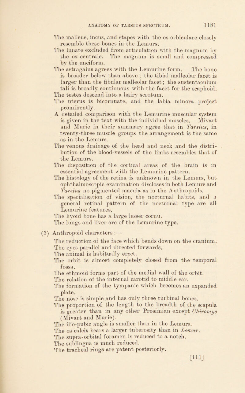 The malleus, incus, and stapes with the os oibiculare closely resemble these bones in the Lemurs. The lunate excluded from articulation with the magnum by the os centrale. The magnum is small and compressed by the unciform. The astragalus agrees with the Lemurine form. The bone is broader below than above ; the tibial malleolar facet is larger than the fibular malleolar facet; the sustentaculum tali is broadly continuous with the facet for the scaphoid. The testes descend into a hairy scrotum. The uterus is bicornuate, and the labia minora project prominently. A detailed comparison with the Lemurine muscular system is given in the text with the individual muscles. Mivart and Murie in their summary agree that in Tarsius, in twenty-three muscle groups the arrangement is the same as in the Lemurs. The venous drainage of the head and neck and the distri- bution of the blood-vessels of the limbs resembles that of the Lemurs. The disposition of the cortical areas of the brain is in essential agreement v ith the Lemurine pattern. The histology of the retina is unknown in the Lemurs, but ophthalmoscopic examination discloses in both Lemurs and Tarsius no pigmented macula as in the Anthropoids. The specialisation of vision, the nocturnal habits, and a general retinal pattern of the nocturnal type are all Lemurine features. The hyoid bone has a large lesser cornu. The lungs and liver are of the Lemurine type. (3) Anthropoid characters : — The reduction of the face which bends down on the cranium. The eyes parallel and directed forwards. The animal is habitually erect. The orbit is almost completely closed from the temporal fossa. T he ethmoid forms part of the medial wall of the orbit. The relation of the internal carotid to middle ear. The formation of the tympanic which becomes an expanded plate. The nose is simple and has only three turbinal bones. The proportion of the length to the breadth of the scapula is greater than in any other Prosimian except Chiromys (Mivart and Murie). The ilio-pubic angle is smaller than in the Lemurs. The os calcis bears a larger tuberosity than in Lemur. The supra-orbital foramen is reduced to a notch. The sublingua is much reduced. The tracheal rings are patent posteriorly. [Ill]