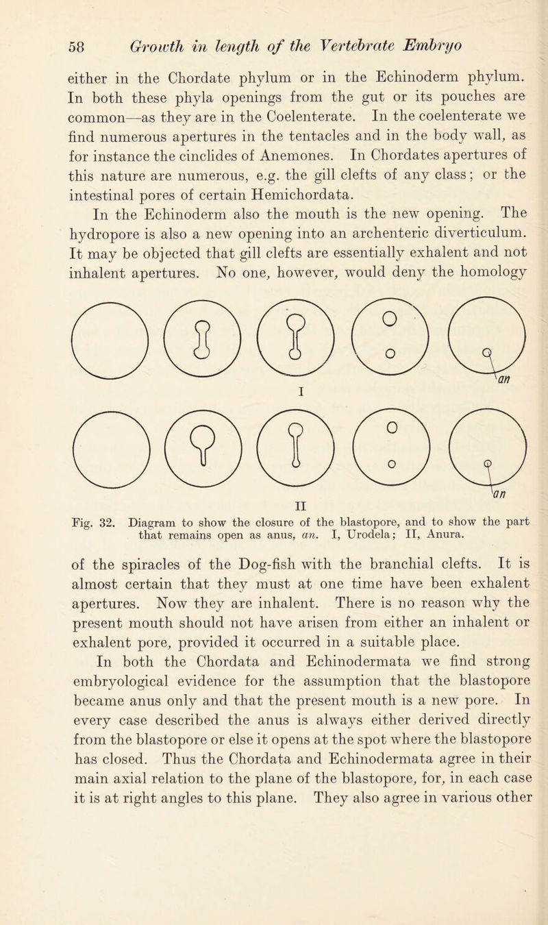 either in the Chordate phylum or in the Echinoderm phylum. In both these phyla openings from the gut or its pouches are common—as they are in the Coelenterate. In the coelenterate we find numerous apertures in the tentacles arnd in the body walb as for instance the cinclides of Anemones. In Chordates apertures of this nature are numerous, e.g. the gill clefts of any class; or the intestinal pores of certain Hemichordata. In the Echinoderm also the mouth is the new opening. The hydropore is also a new opening into an archenteric diverticulum. It may be objected that gill clefts are essentially exhalent and not inhalent apertures. No one, however, would deny the homology Fig. 32. Diagram to show the closure of the blastopore, and to show the part that remains open as anus, an. I, Urodela; II, Anura. of the spiracles of the Dog-fish with the branchial clefts. It is almost certain that they must at one time have been exhalent apertures. Now they are inhalent. There is no reason why the present mouth should not have arisen from either an inhalent or exhalent pore, provided it occurred in a suitable place. In both the Chordata and Echinodermata we find strong embryological evidence for the assumption that the blastopore became anus only and that the present mouth is a new pore. In every case described the anus is always either derived directly from the blastopore or else it opens at the spot where the blastopore has closed. Thus the Chordata and Echinodermata agree in their main axial relation to the plane of the blastopore, for, in each case it is at right angles to this plane. They also agree in various other