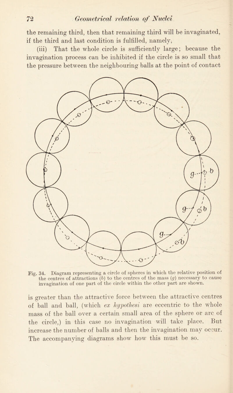 the remaining third, then that remaining third will be invaginated, if the third and last condition is fulfilled, namely, (iii) That the whole circle is sufficiently large; because the invagination process can be inhibited if the circle is so small that the pressure between the neighbouring balls at the point of contact invagination of one part of the circle within the other part are shown. is greater than the attractive force between the attractive centres of ball and ball, (which ex hypothesi are eccentric to the whole mass of the ball over a certain small area of the sphere or arc of the circle,) in this case no invagination will take place. But increase the number of balls and then the invagination may occur. The accompanying diagrams show how this must be so.