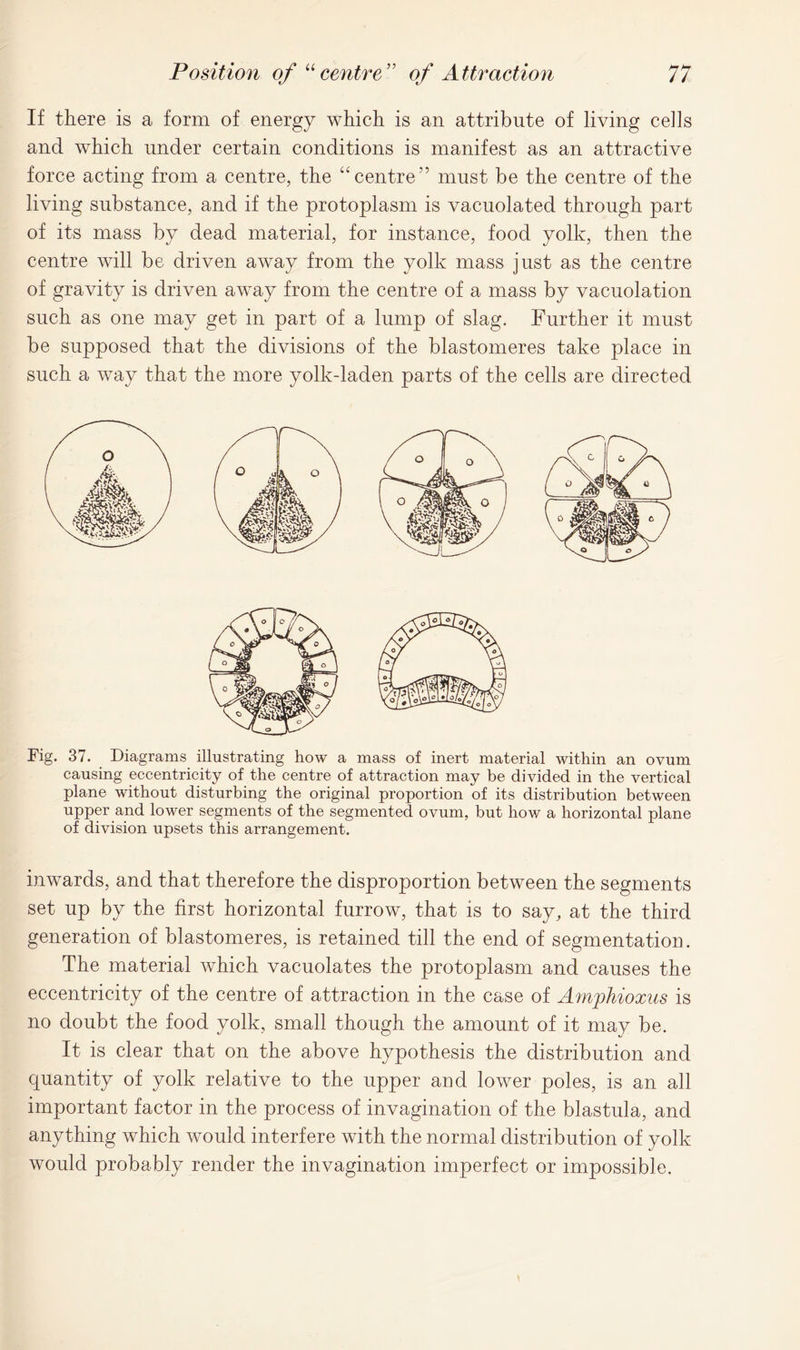 If there is a form of energy which is an attribute of living cells and which under certain conditions is manifest as an attractive force acting from a centre, the “centre” must be the centre of the living substance, and if the protoplasm is vacuolated through part of its mass by dead material, for instance, food yolk, then the centre will be driven away from the yolk mass just as the centre of gravity is driven away from the centre of a mass by vacuolation such as one may get in part of a lump of slag. Further it must be supposed that the divisions of the blastomeres take place in such a way that the more yolk-laden parts of the cells are directed Fig. 37. Diagrams illustrating how a mass of inert material within an ovum causing eccentricity of the centre of attraction may be divided in the vertical plane without disturbing the original proportion of its distribution between upper and lower segments of the segmented ovum, but how a horizontal plane of division upsets this arrangement. inwards, and that therefore the disproportion between the segments set up by the first horizontal furrow, that is to say, at the third generation of blastomeres, is retained till the end of segmentation. The material which vacuolates the protoplasm and causes the eccentricity of the centre of attraction in the case of Amphioxus is no doubt the food yolk, small though the amount of it may be. It is clear that on the above hypothesis the distribution and quantity of yolk relative to the upper and lower poles, is an all important factor in the process of invagination of the blastula, and anything which would interfere with the normal distribution of yolk would probably render the invagination imperfect or impossible.