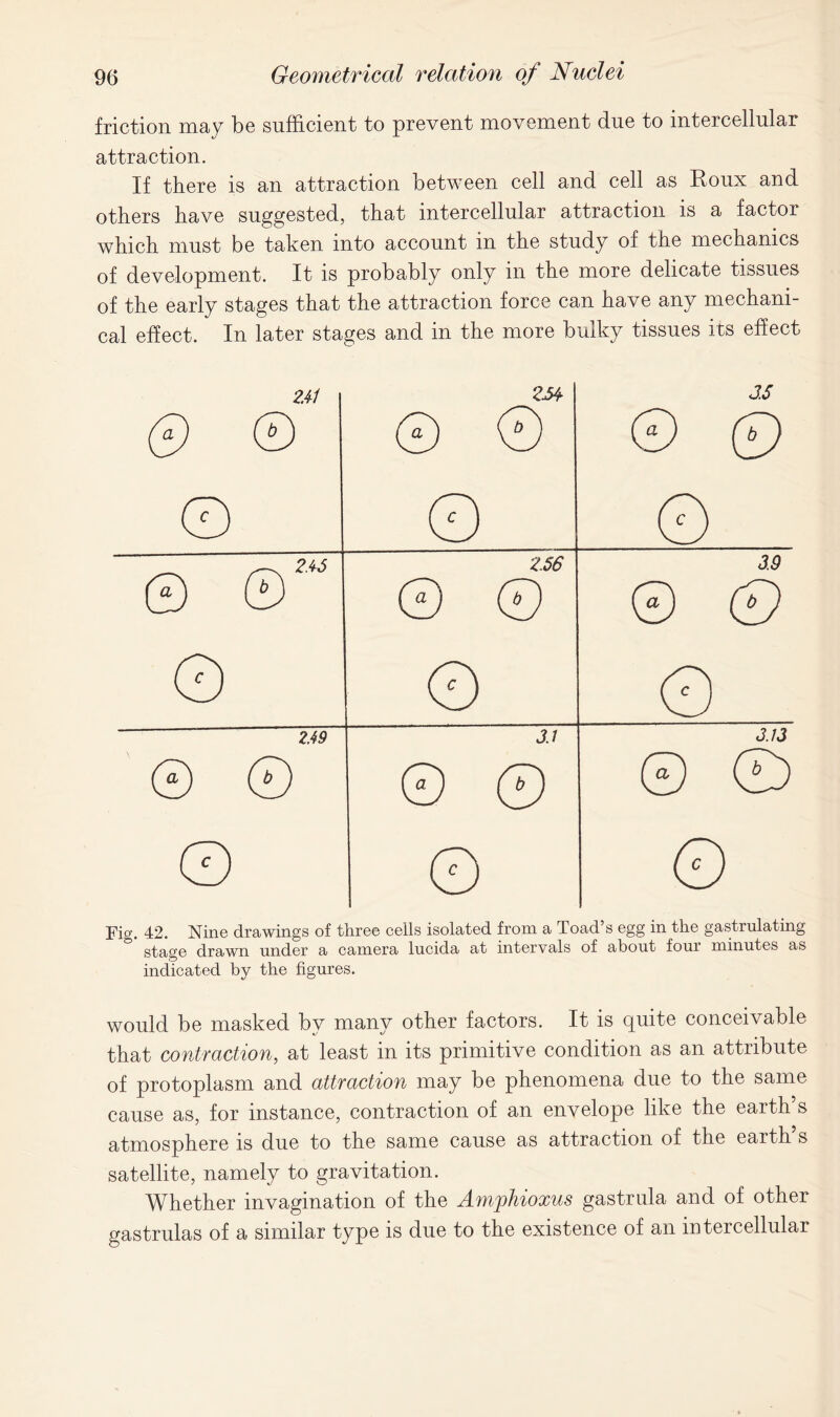 friction may be sufficient to prevent movement due to intercellular attraction. If there is an attraction between cell and cell as Roux and others have suggested, that intercellular attraction is a factor which must be taken into account in the study of the mechanics of development. It is probably only in the more delicate tissues of the early stages that the attraction force can have any mechani- cal effect. In later stages and in the more bulky tissues its effect 2.4-1 0 © 2M © © 3.5 © 00 o O 0 © ©“ 2.56 © © 3.9 © (D o O o 2.49 © © © 3.13 © © 0 0 © Fig. 42. Nine drawings of three cells isolated from a Toad s egg in the gastrulating stage drawn under a camera lucida at intervals of about four minutes as indicated by the figures. would be masked by many other factors. It is quite conceivable that contraction, at least in its primitive condition as an attribute of protoplasm and attraction may be phenomena due to the same cause as, for instance, contraction of an envelope like the earth s atmosphere is due to the same cause as attraction of the eaith s satellite, namely to gravitation. Whether invagination of the Amphioxus gastrula and of other gastrnlas of a similar type is due to the existence of an intercellular