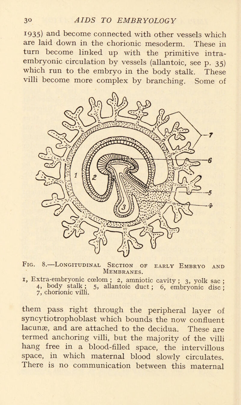 x935) and become connected with other vessels which are laid down in the chorionic mesoderm. These in turn become linked up with the primitive intra- embryonic circulation by vessels (allantoic, see p. 35) which run to the embryo in the body stalk. These villi become more complex by branching. Some of Fig. 8. Longitudinal Section of early Embryo and Membranes. 1, Extra-embryonic coelom ; 2, amniotic cavity ; 3, yolk sac ; 4, body stalk; 5, allantoic duct; 6, embryonic disc; 7, chorionic villi. them pass right through the peripheral layer of syncytiotrophoblast which bounds the now confluent lacunae, and are attached to the decidua. These are termed anchoring villi, but the majority of the villi hang free in a blood-filled space, the intervillous space, in which maternal blood slowly circulates. There is no communication between this maternal